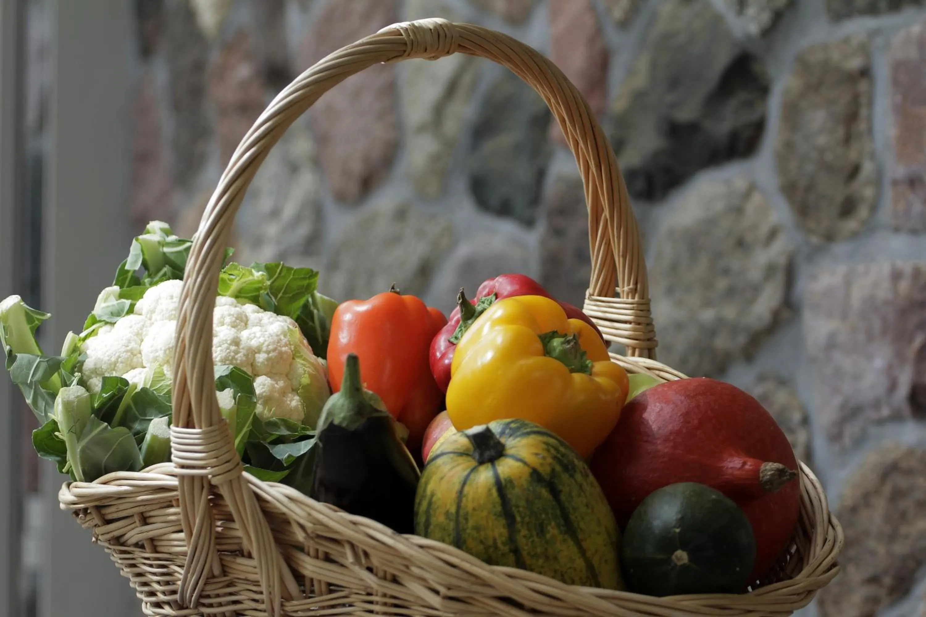 Food close-up in Estancja Mezowo