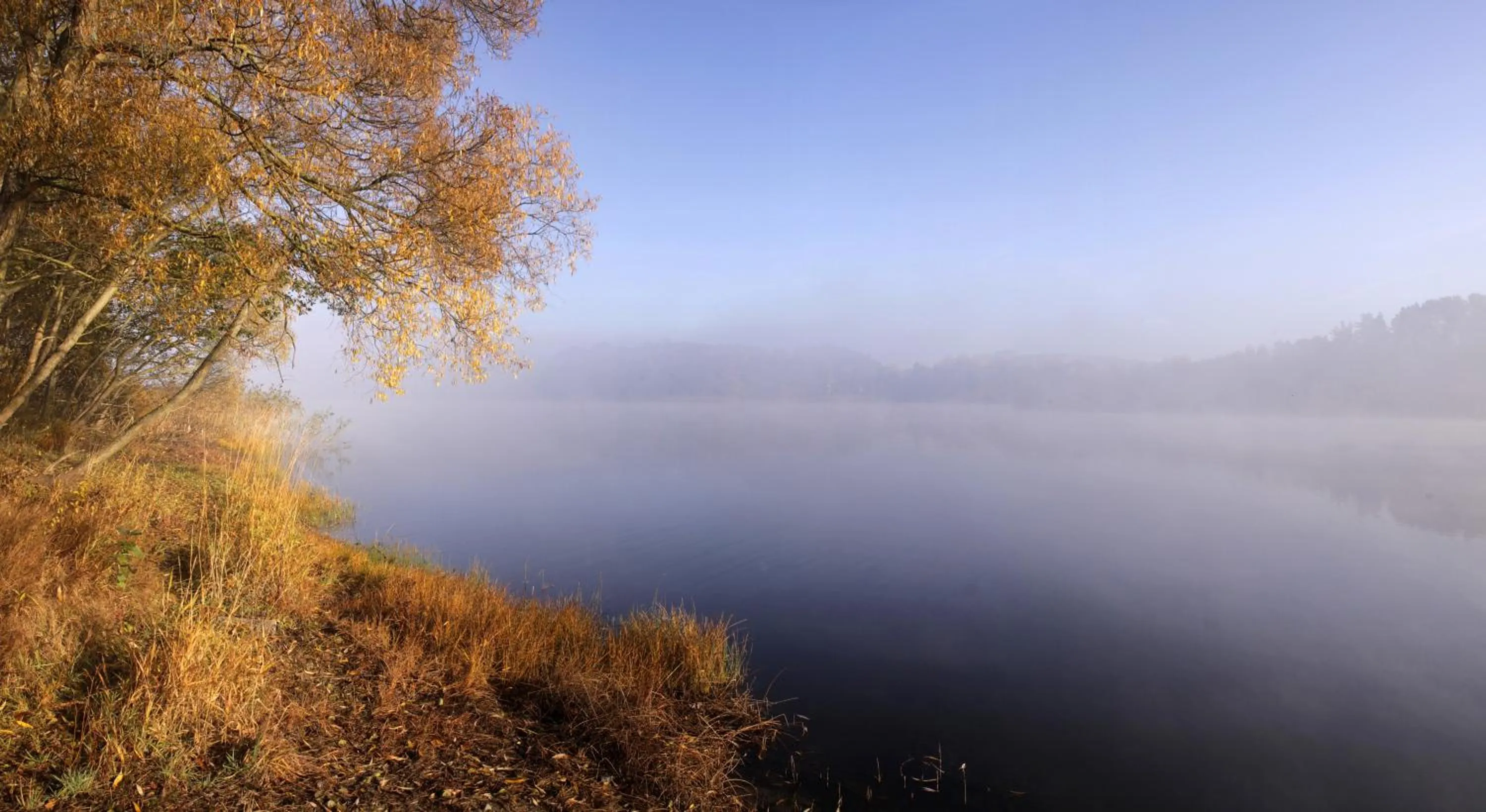 Neighbourhood in Estancja Mezowo