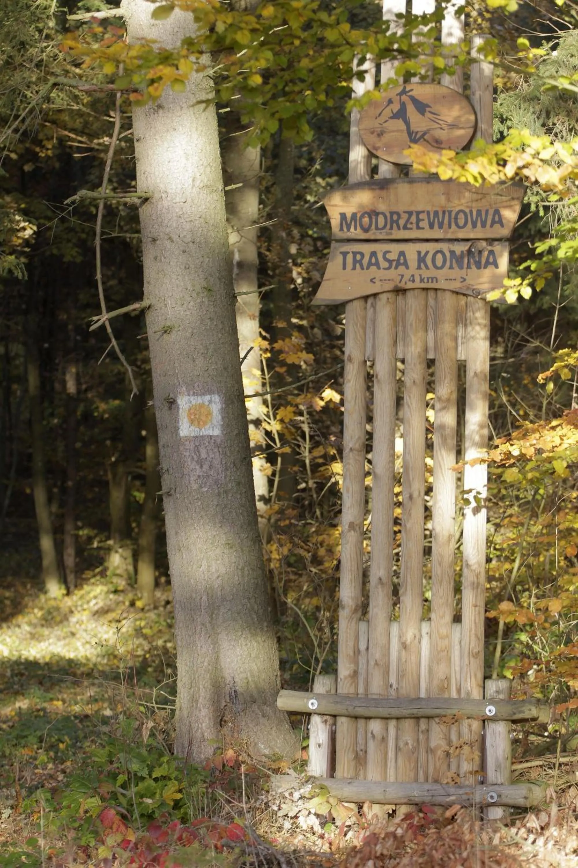 Neighbourhood in Estancja Mezowo