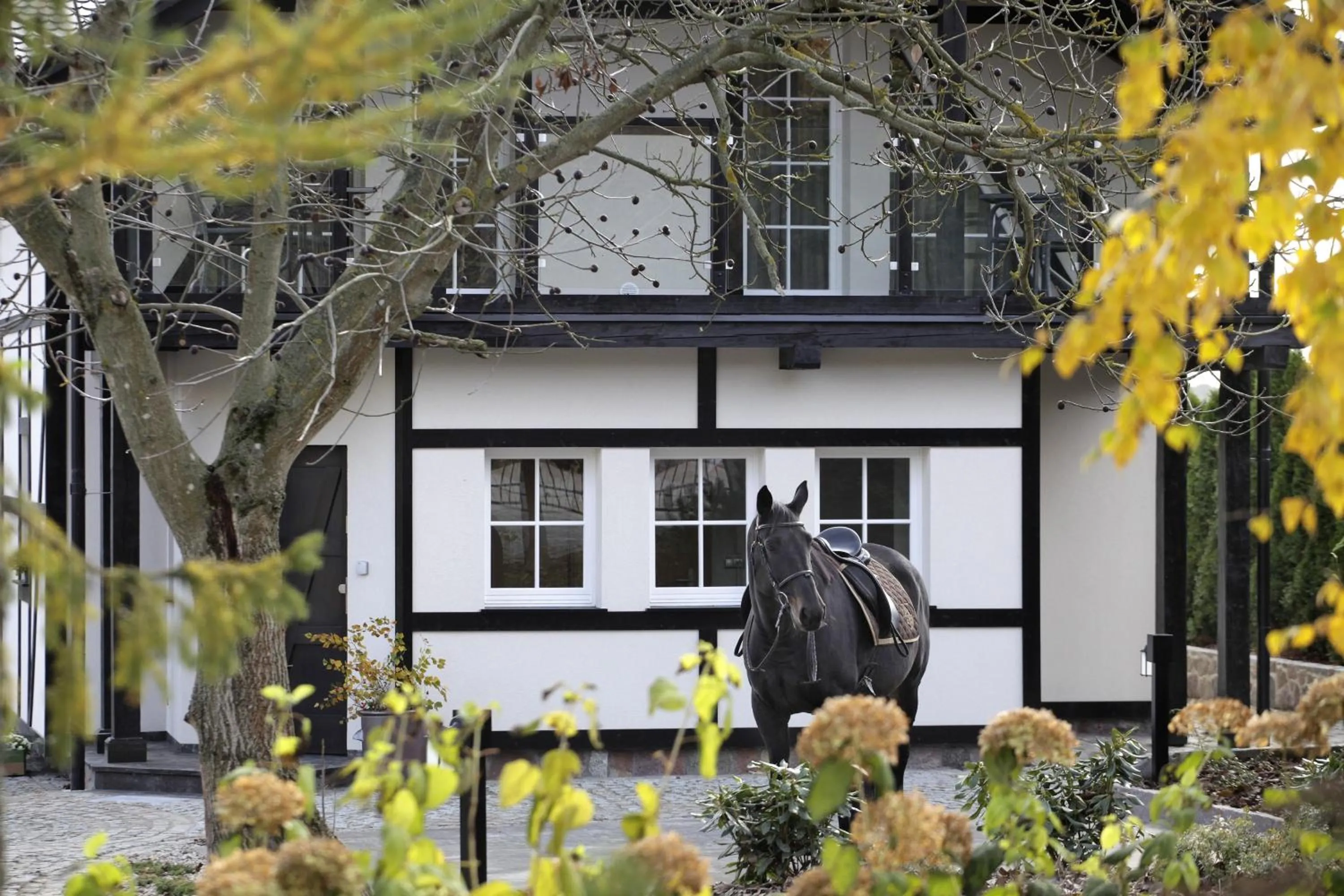 Horse-riding in Estancja Mezowo