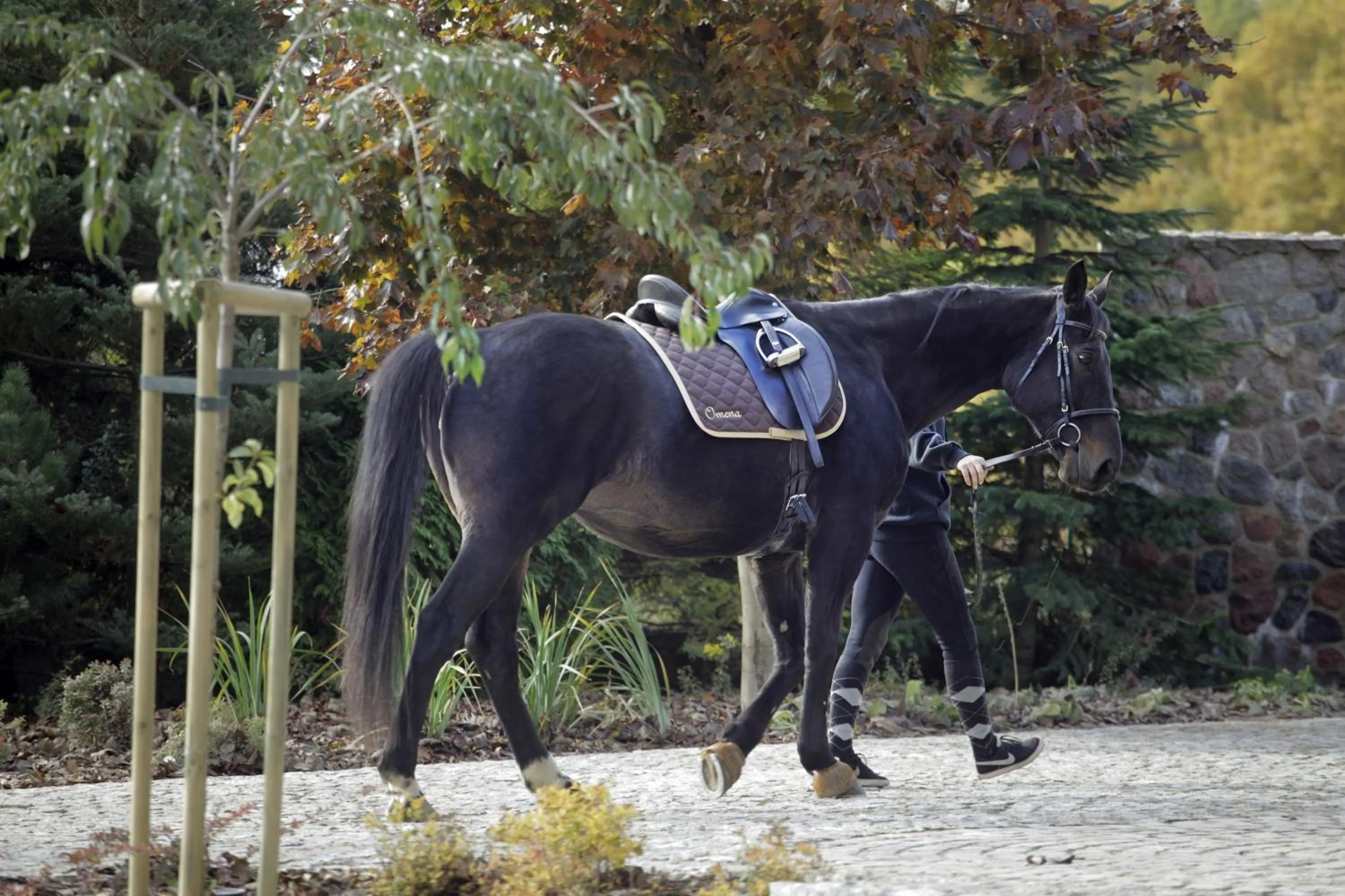 Animals in Estancja Mezowo
