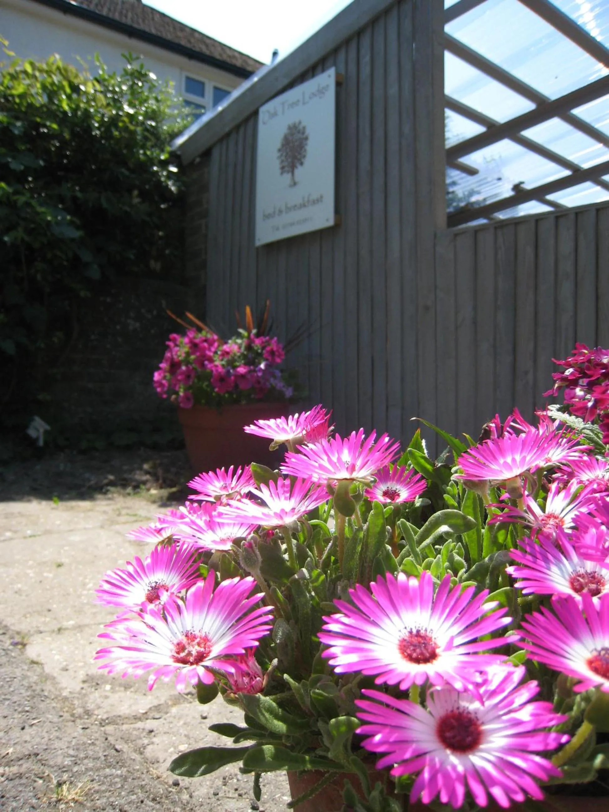 Facade/entrance in Oak Tree Lodge & Holiday Parking