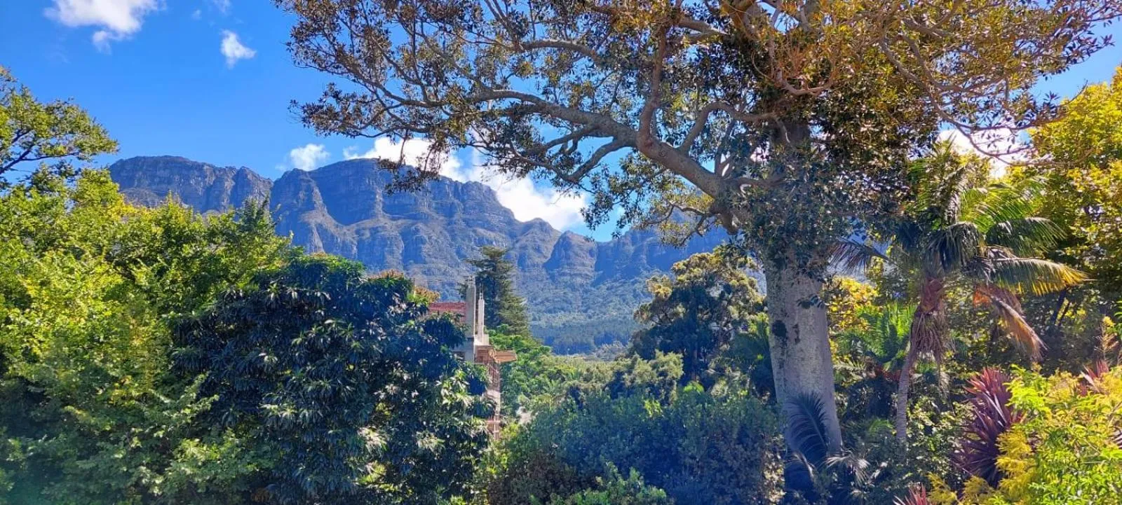 View (from property/room) in Riversong Guest House