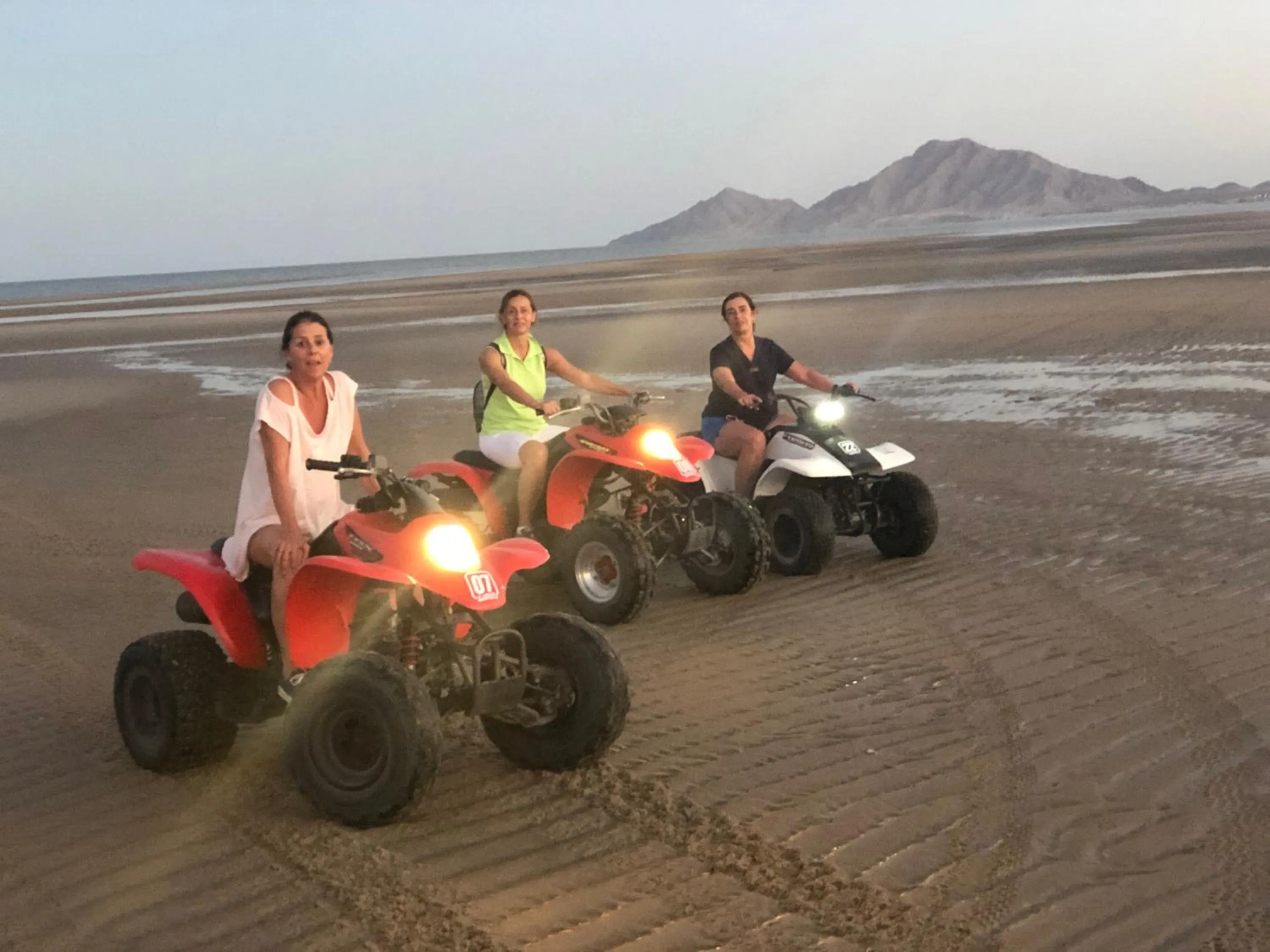 Activities in Hotel Las Palmas