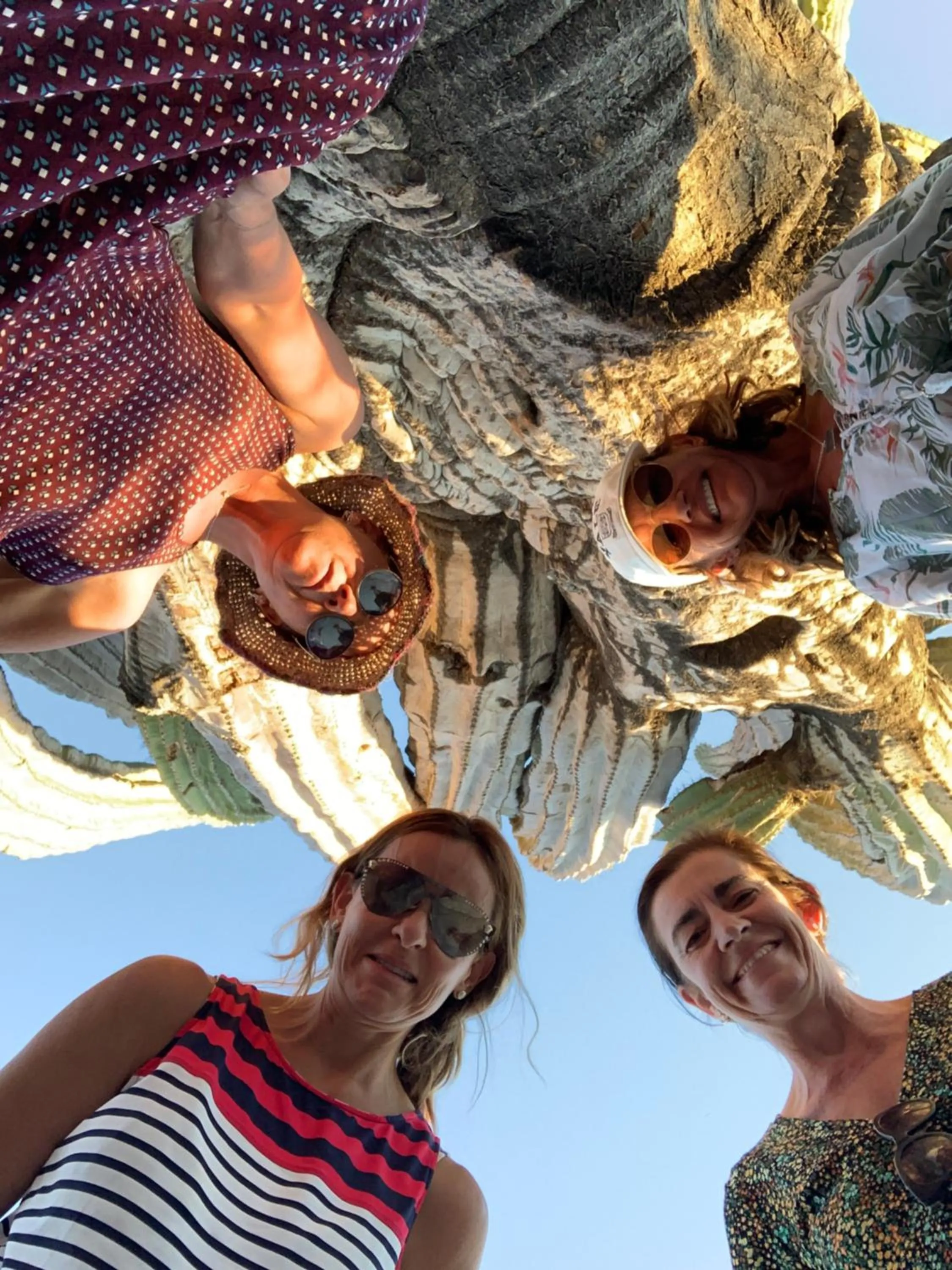 Activities in Hotel Las Palmas