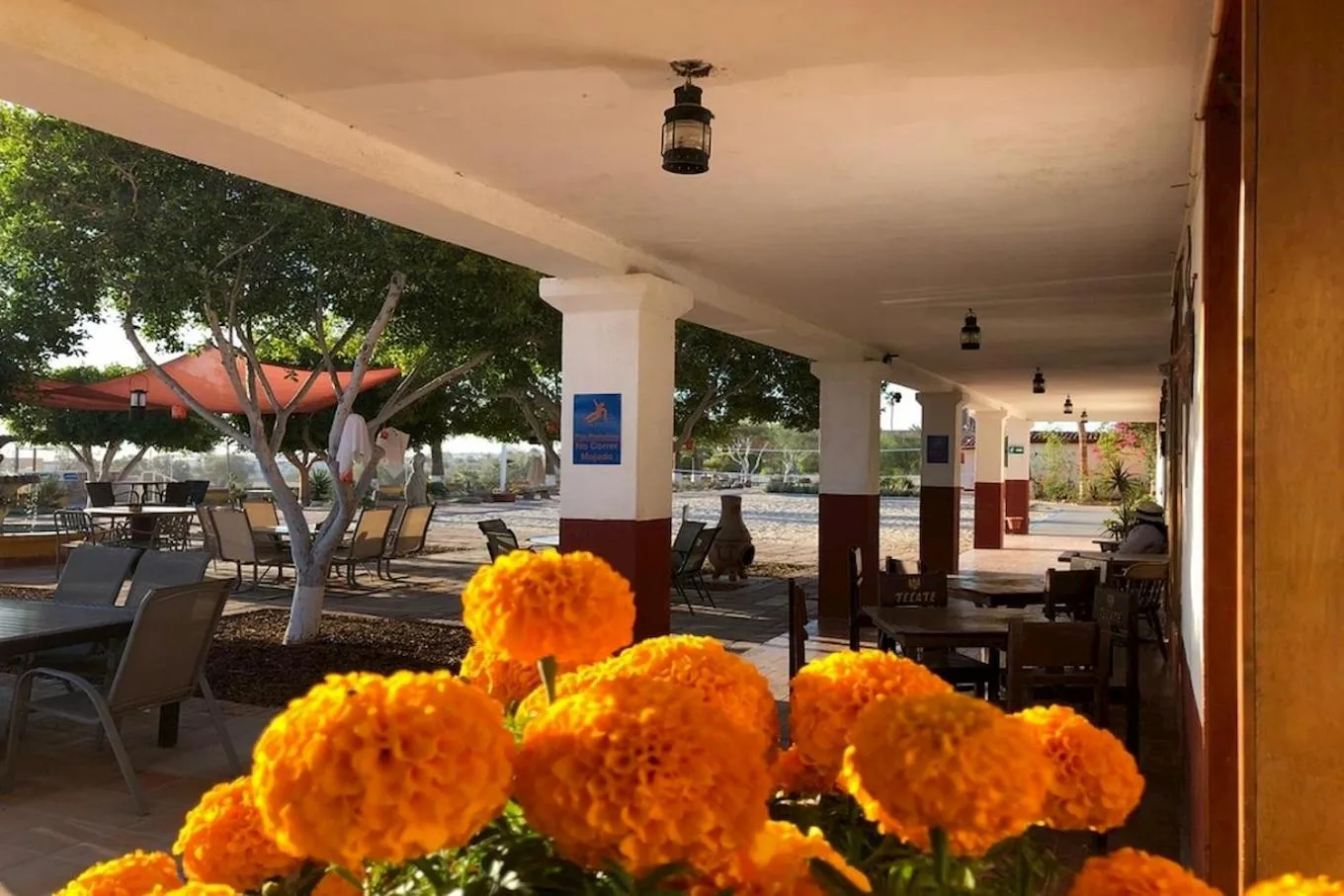 Patio in Hotel Las Palmas