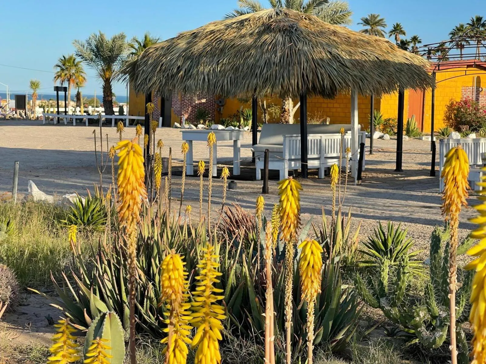Patio in Hotel Las Palmas