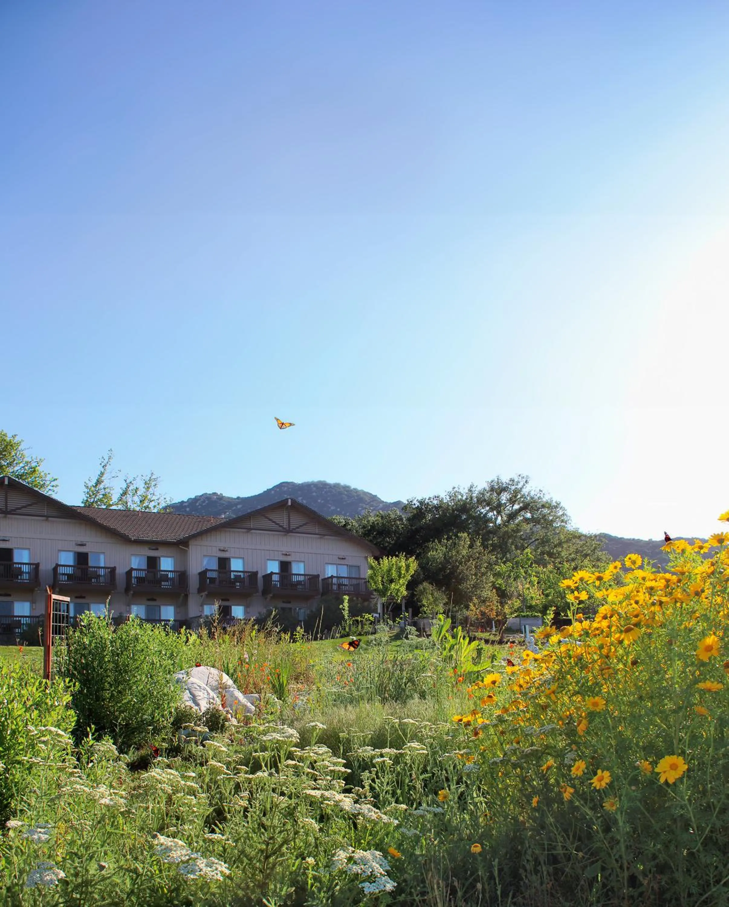 Property building in Temecula Creek Inn