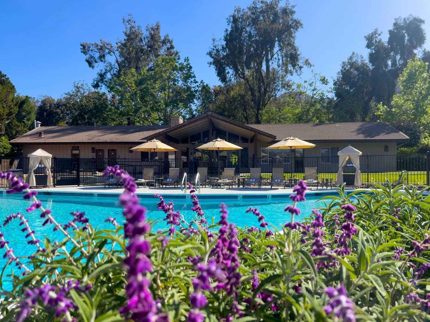 Swimming pool in Temecula Creek Inn