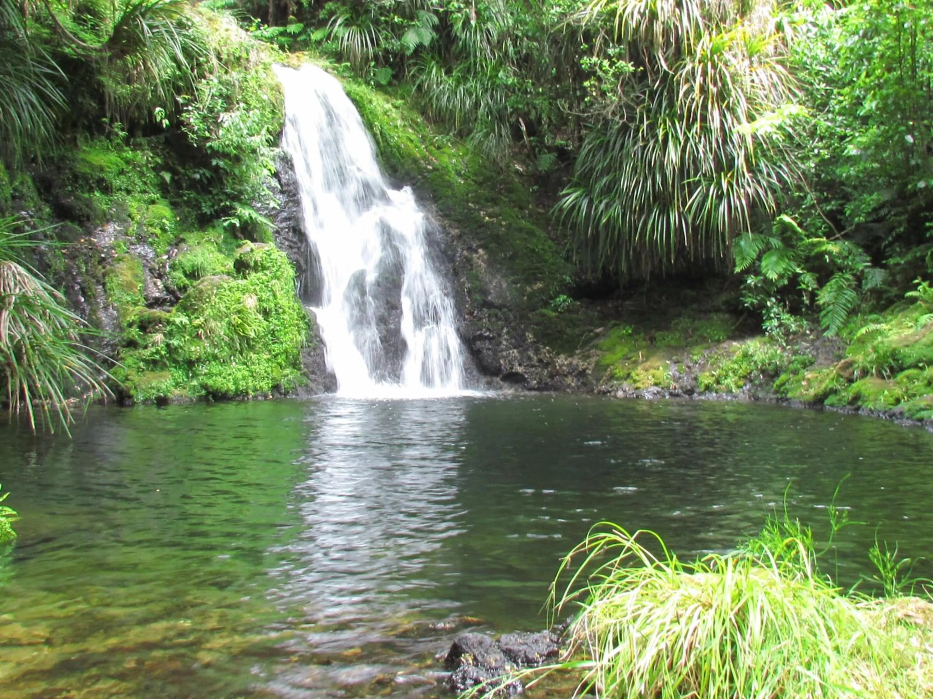 Activities in Rolling Hills Country Stay B&B