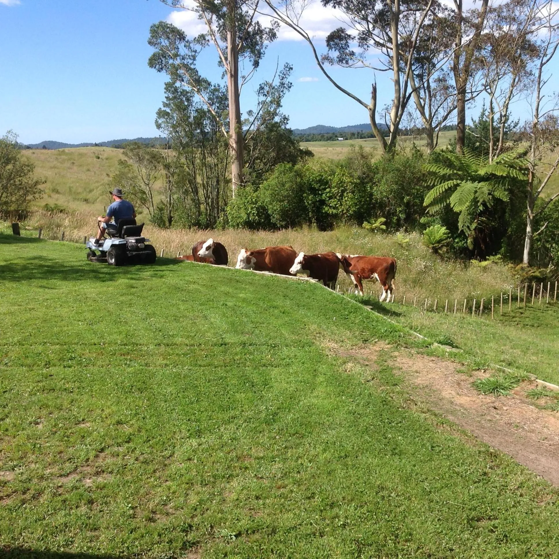 Animals in Rolling Hills Country Stay B&B