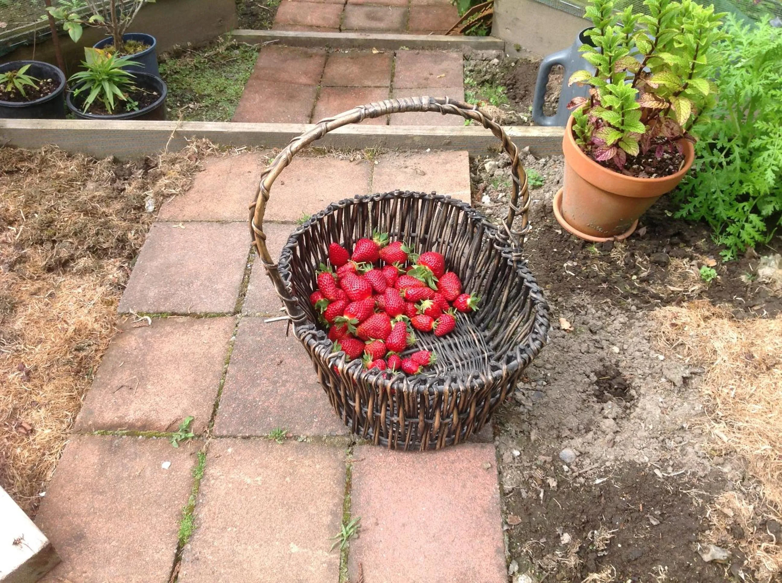 Garden in Rolling Hills Country Stay B&B