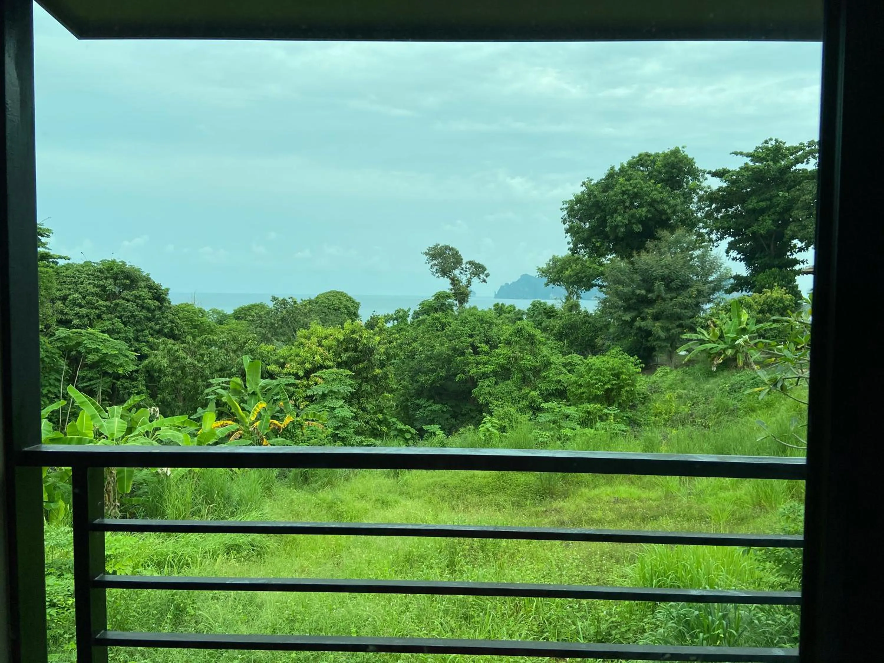 Natural landscape in HIP Seaview Resort @ Phi Phi