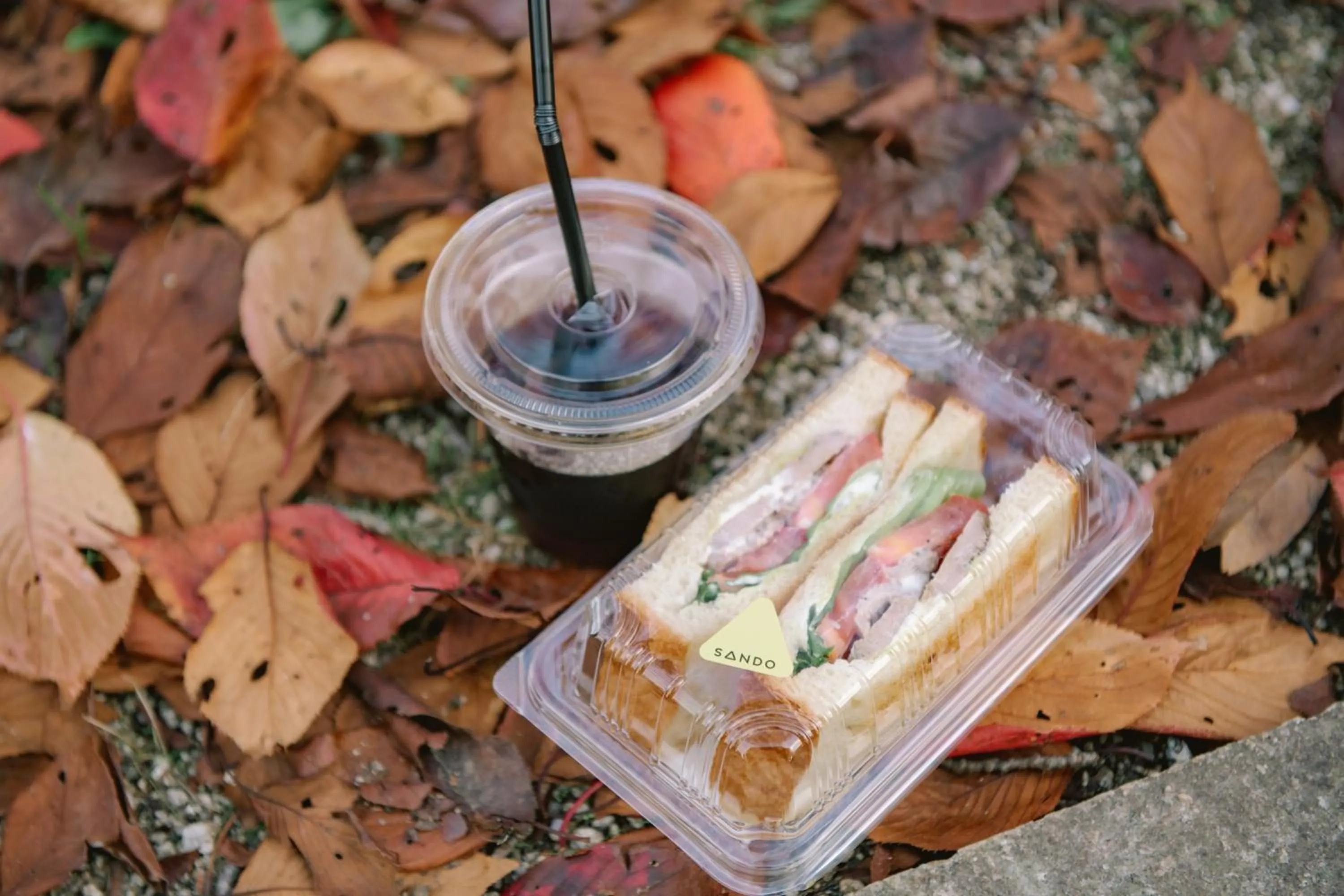 Off site in Guesthouse RICO