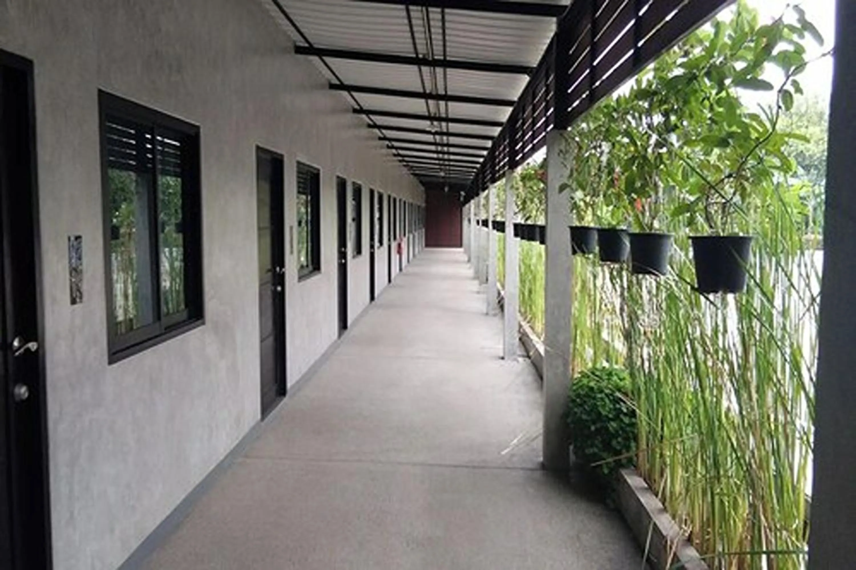 Property building in The Loft @Chiangrai