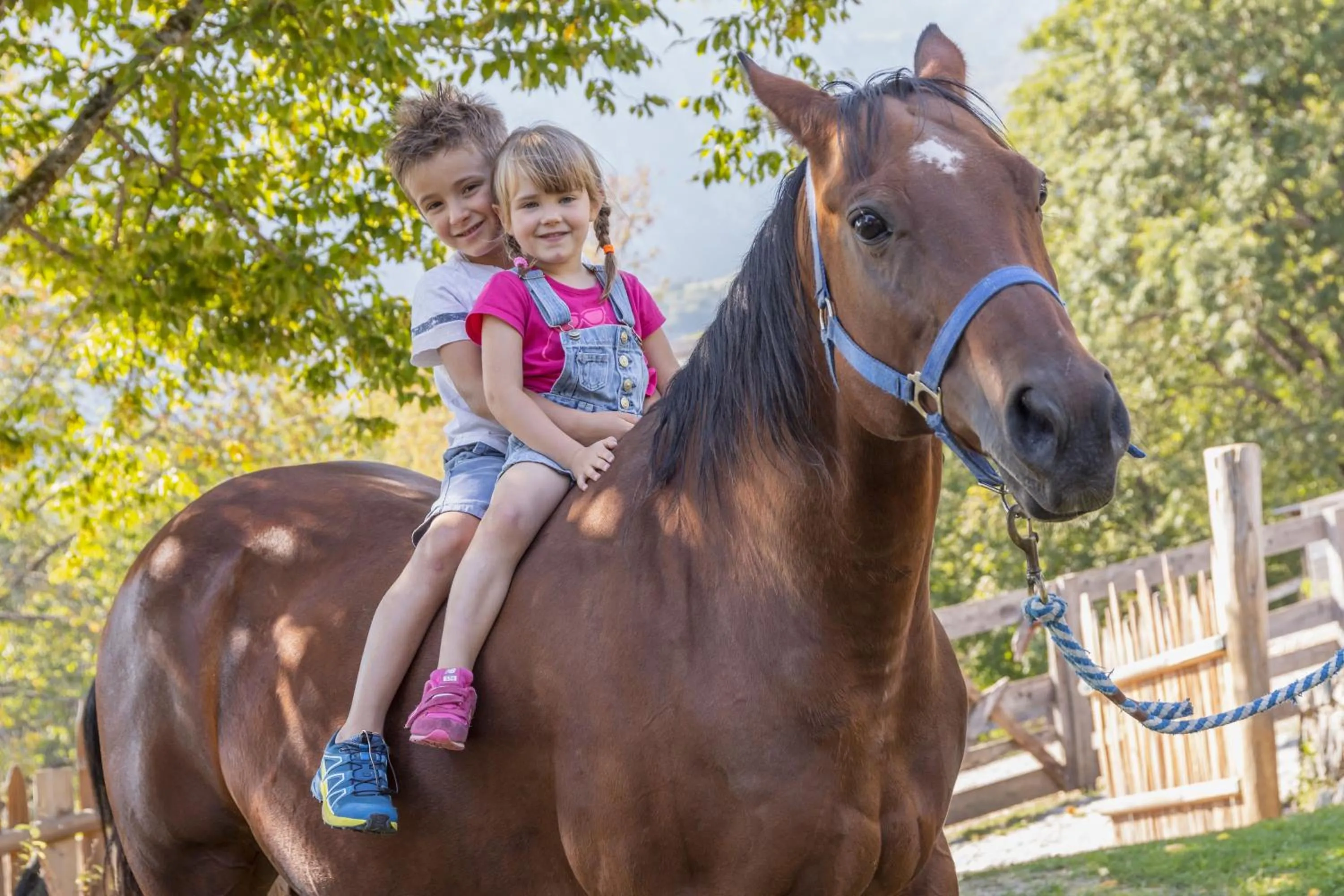 Horse-riding in Miravalle