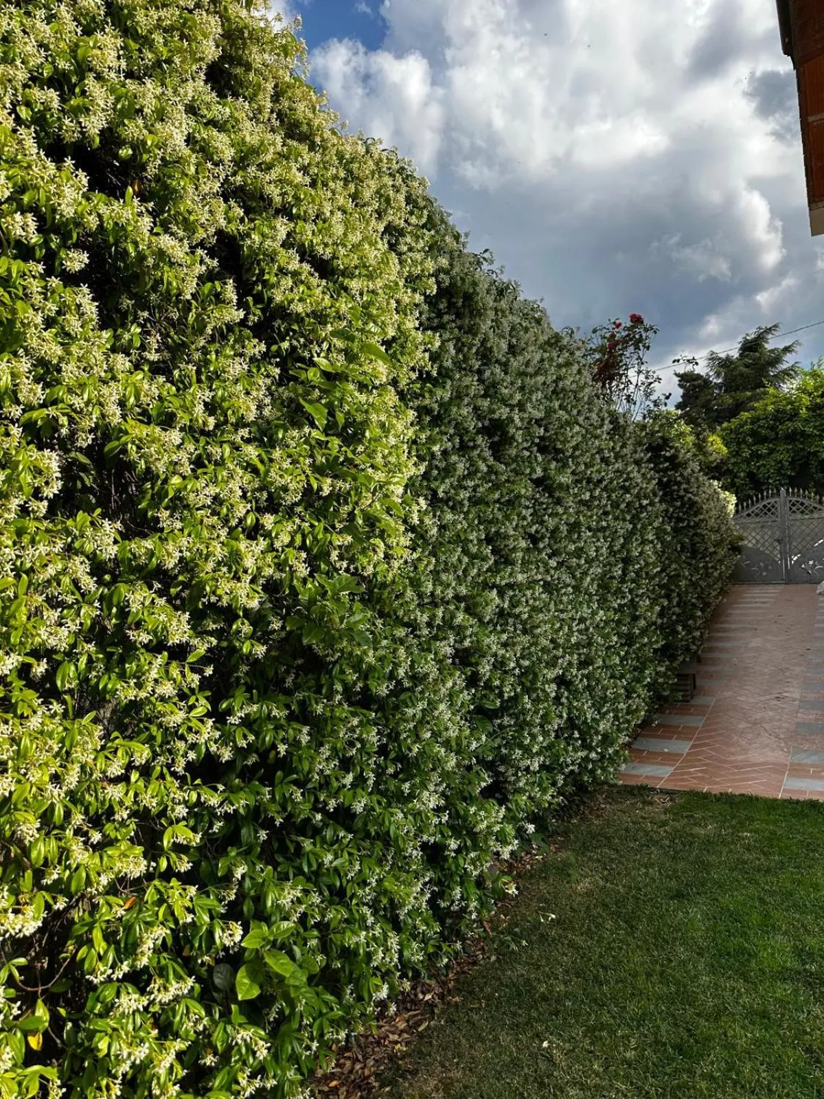 Garden in B&B La Dolce Sosta