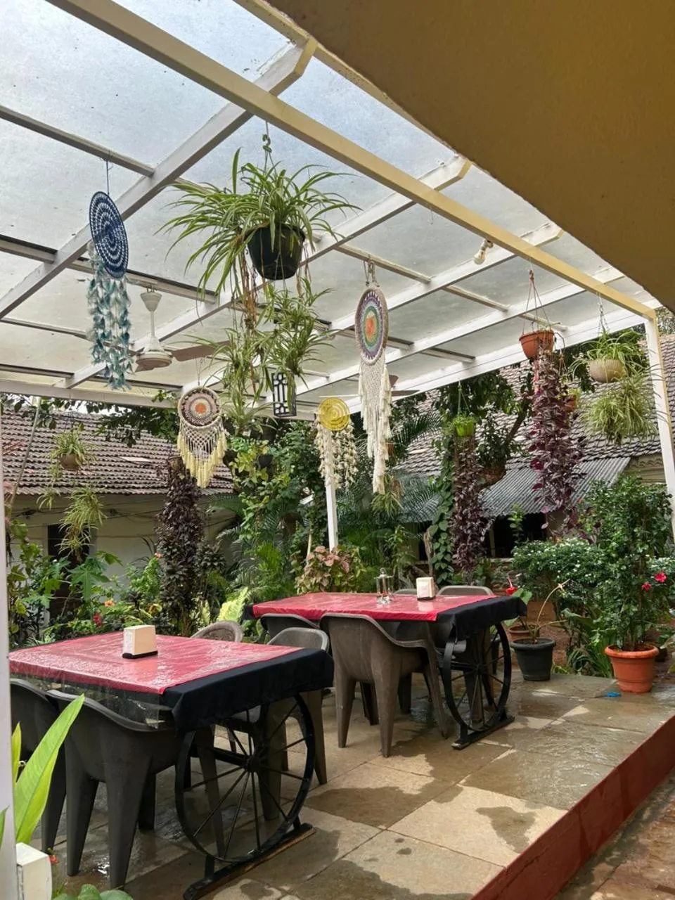 Garden in Fatima Guest House