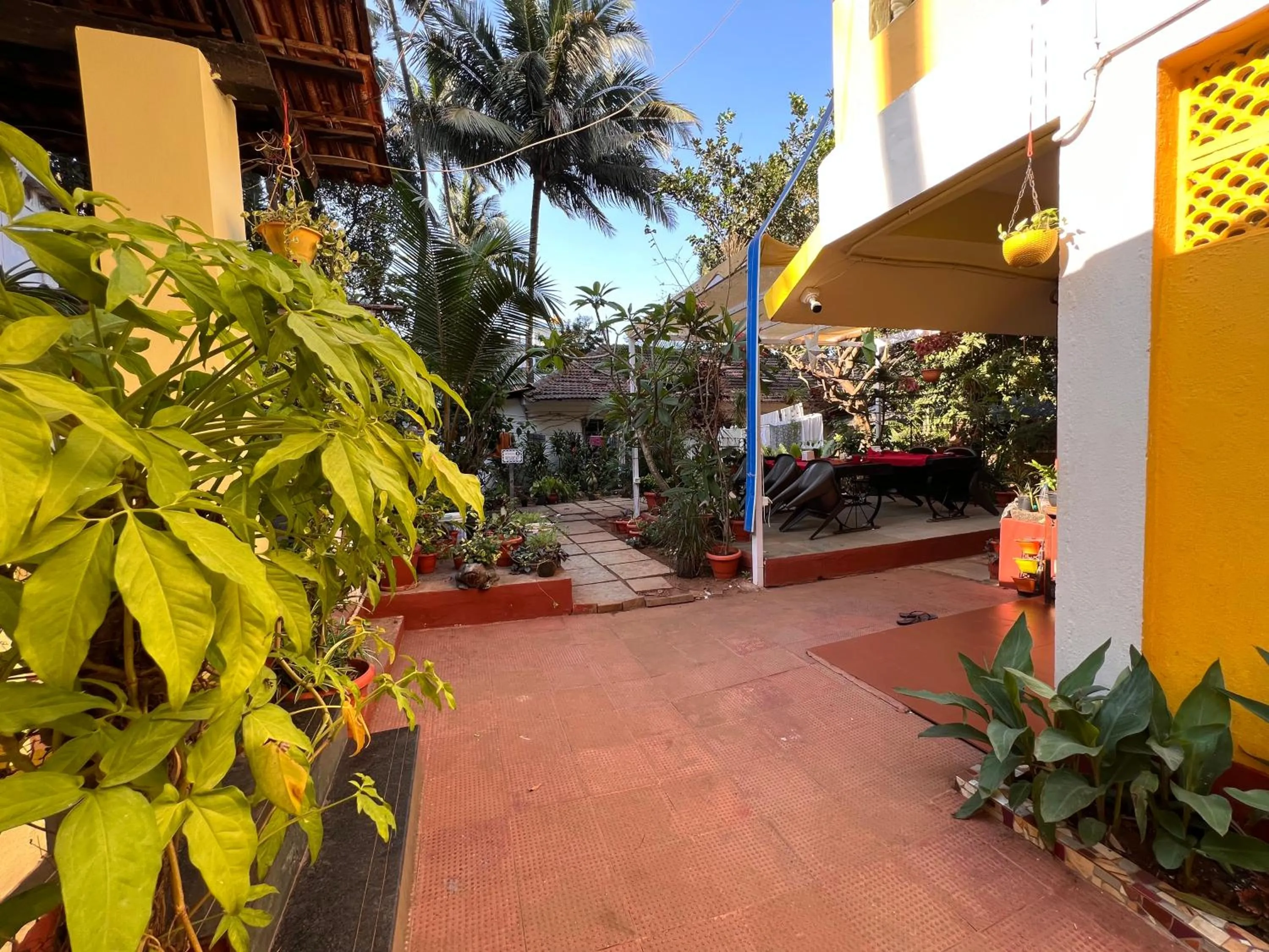 Garden in Fatima Guest House