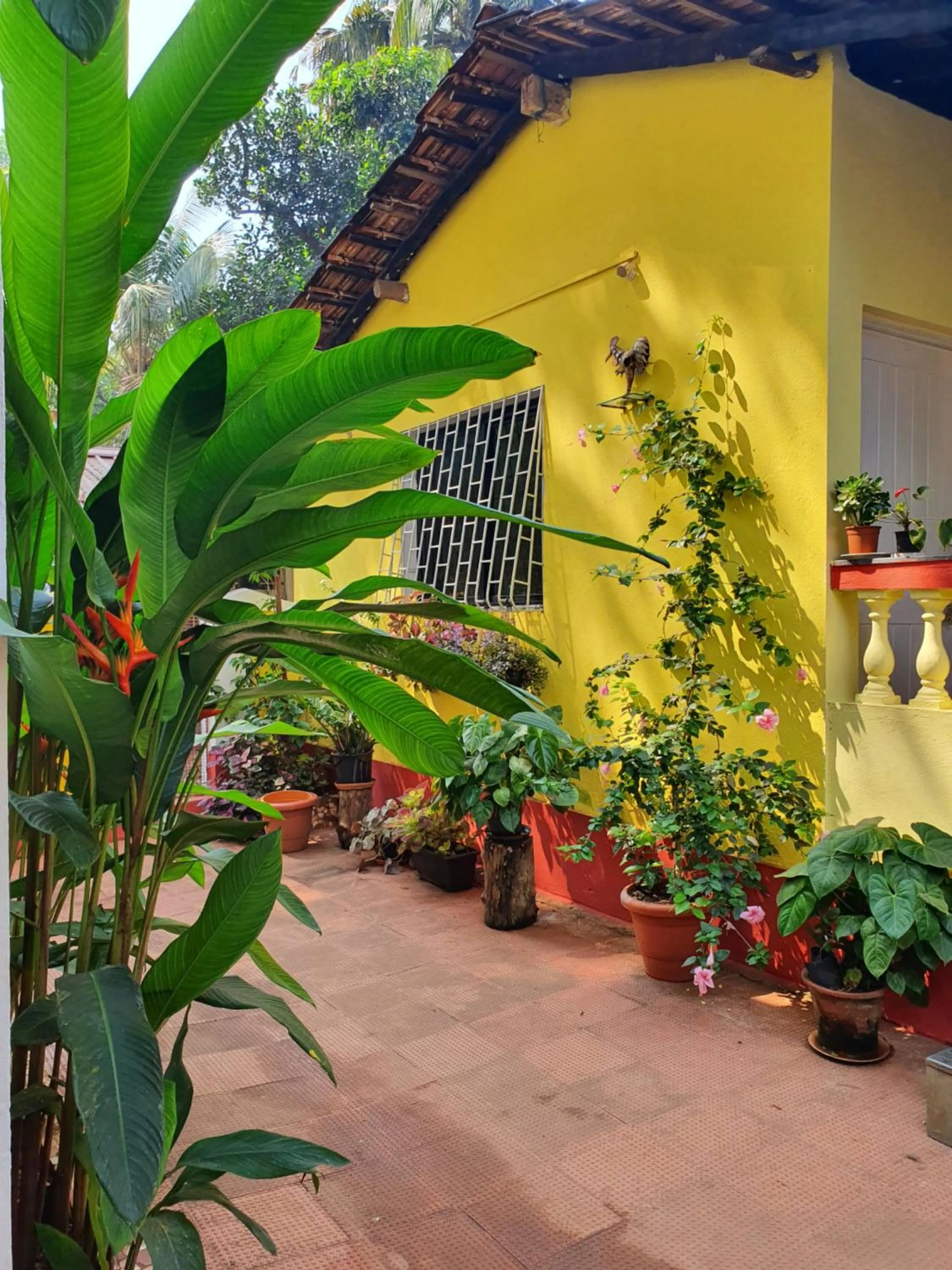 Spring in Fatima Guest House