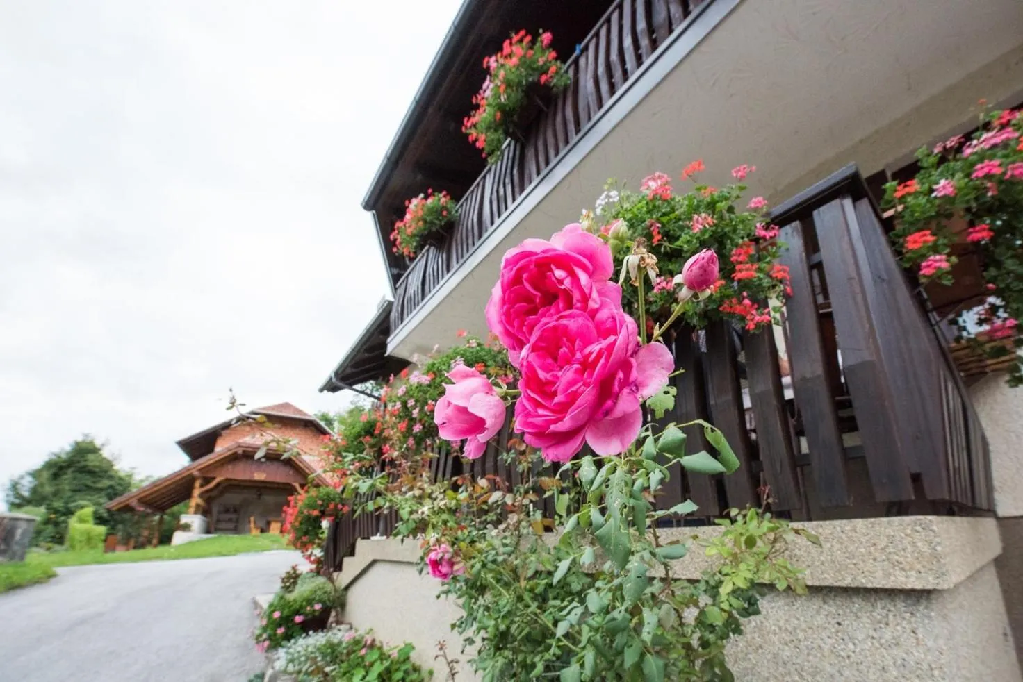 Property building in Farm Stay Žagar