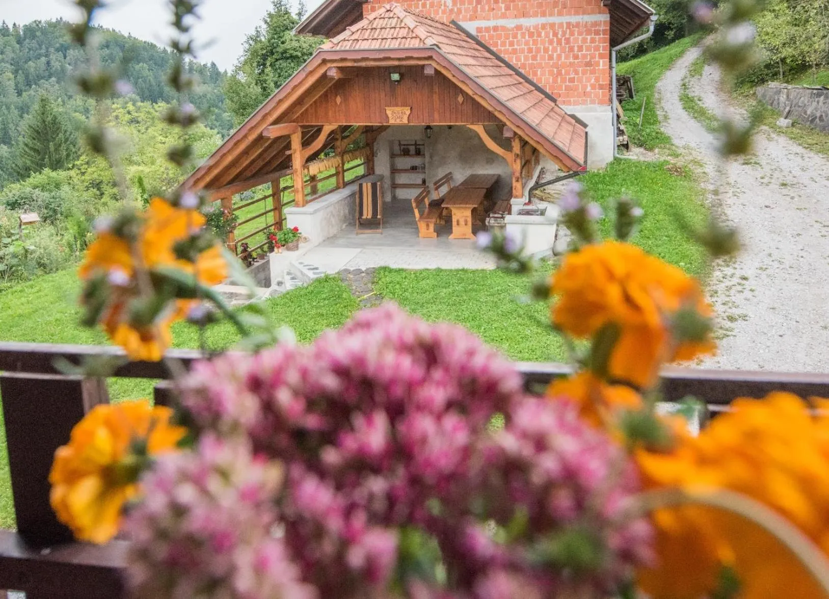 View (from property/room) in Farm Stay Žagar