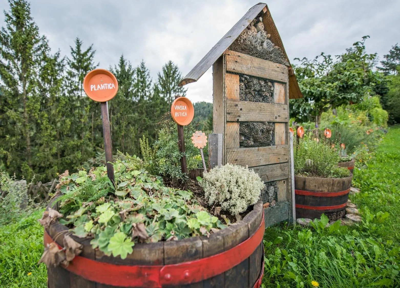 Garden in Farm Stay Žagar