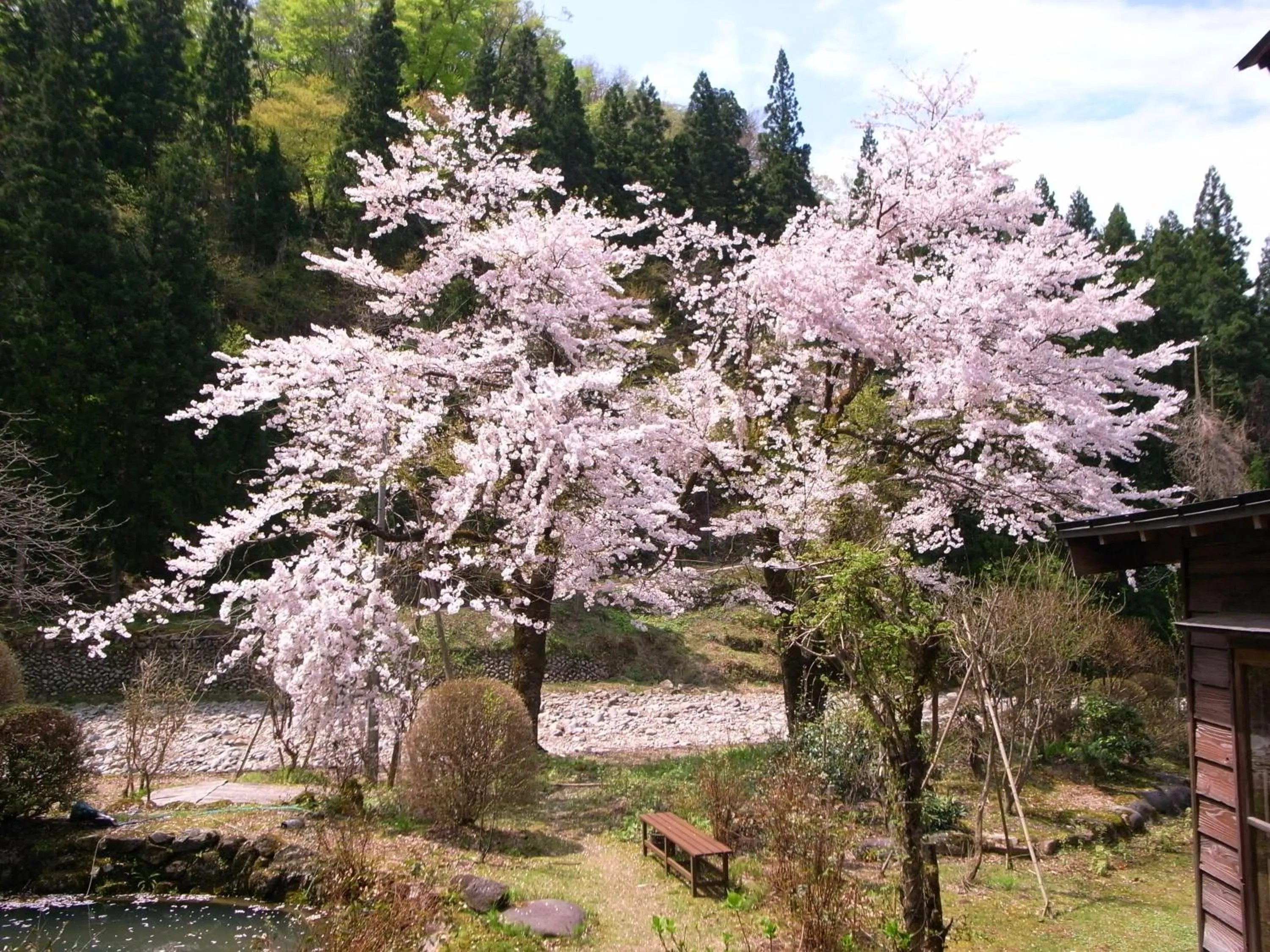 On site in Rankeisou