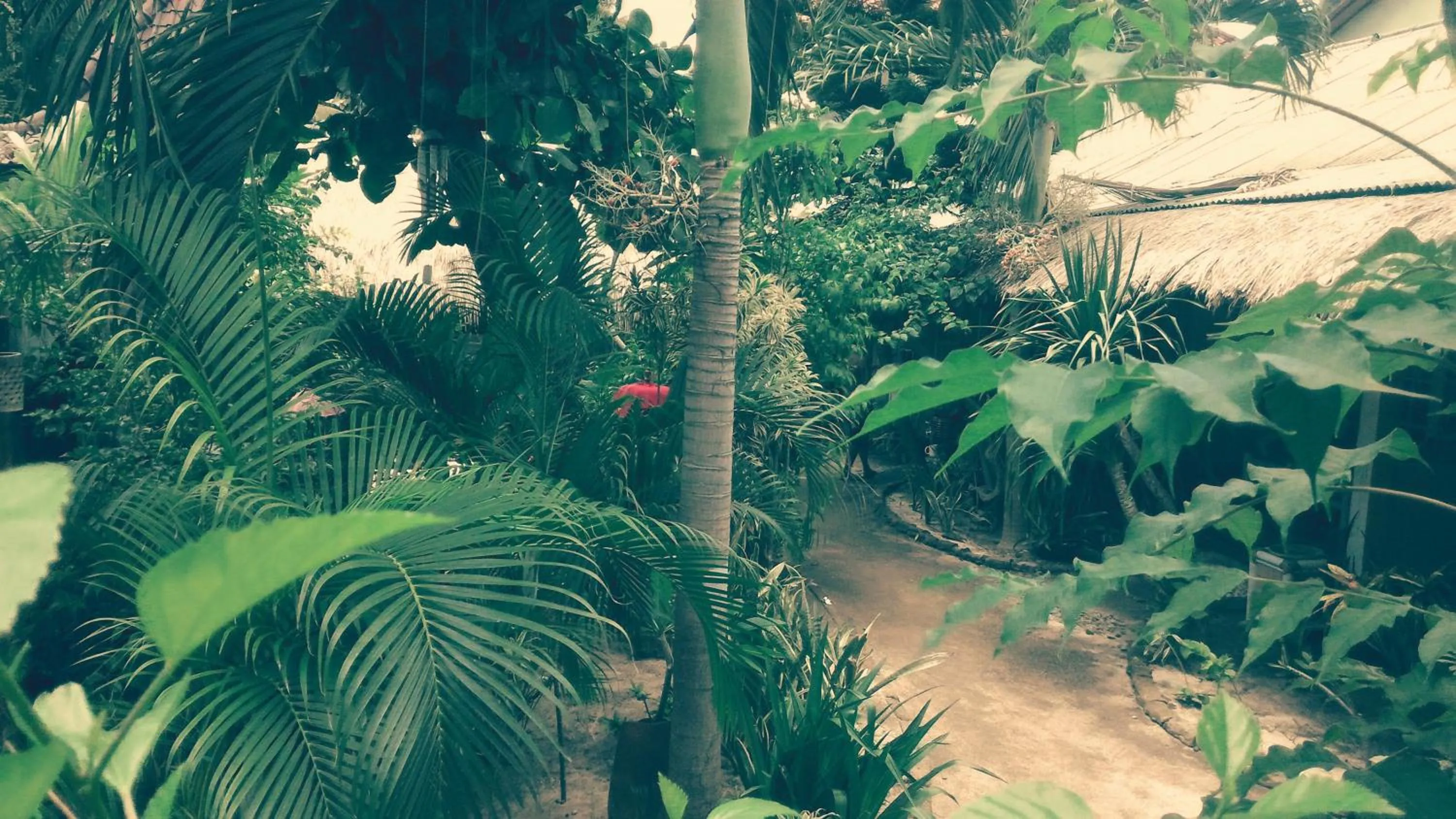 Garden in Rumah Kundun