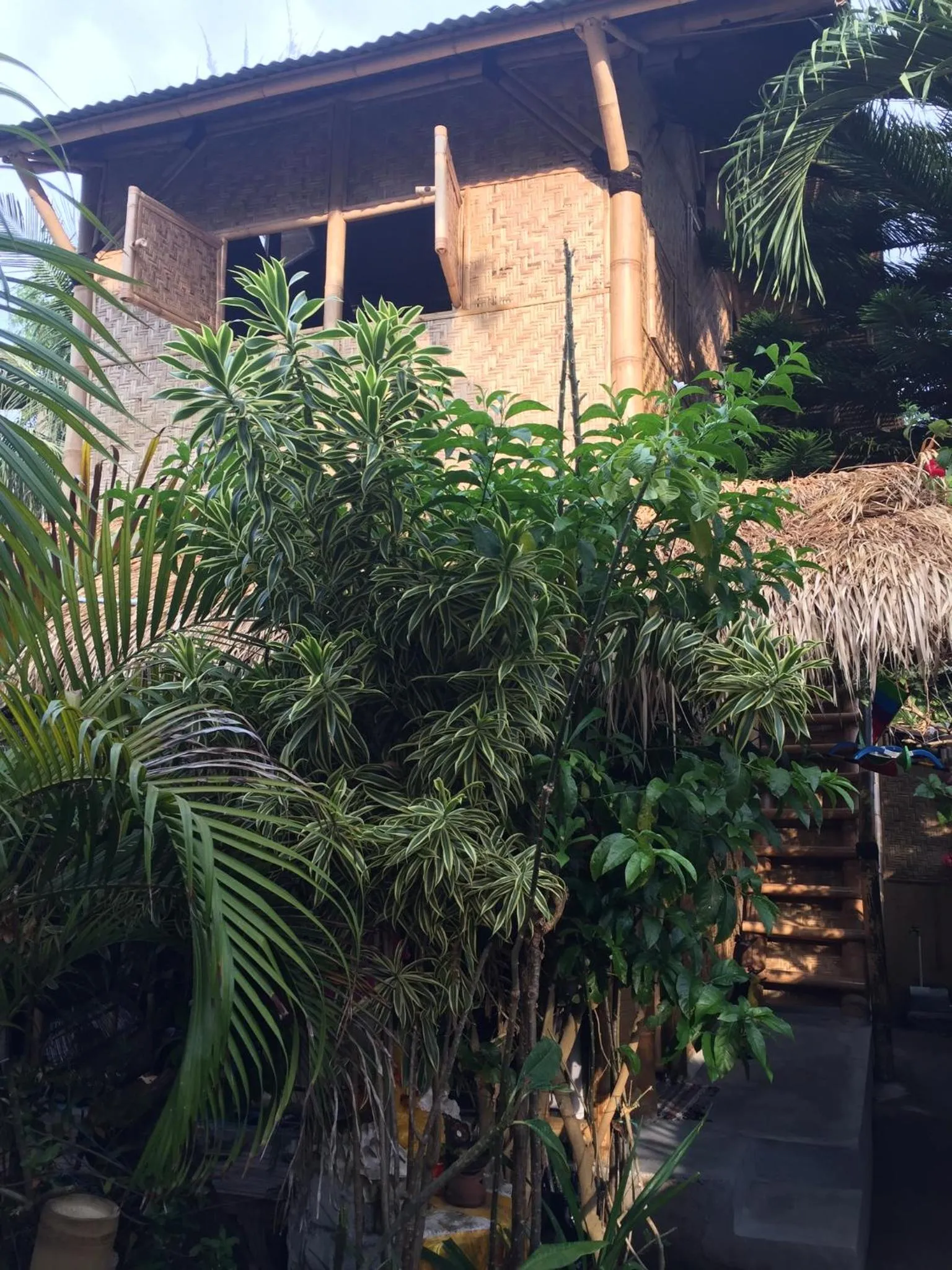 Property building in Rumah Kundun