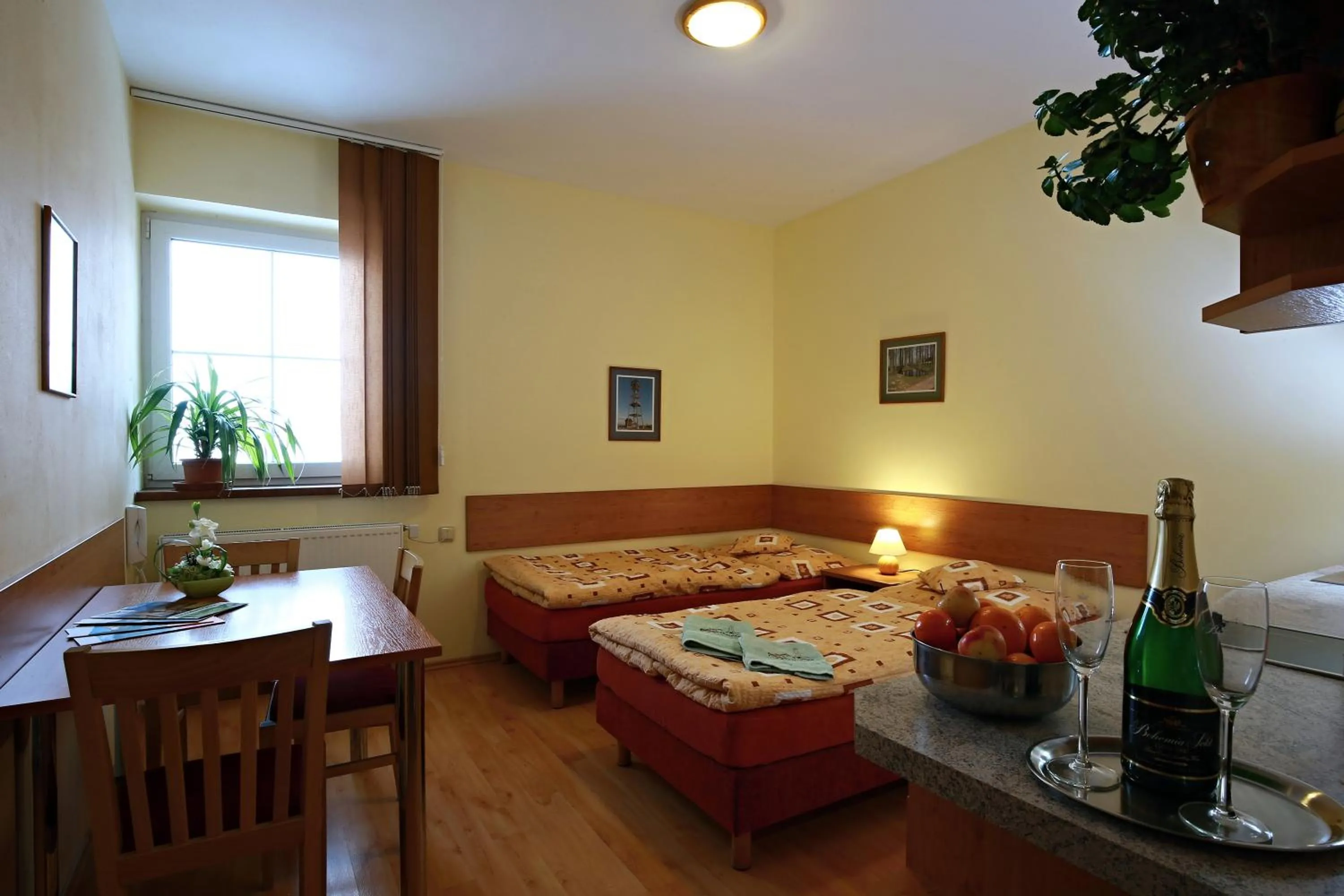 Photo of the whole room in Wellness Penzion Pod Rozhlednou