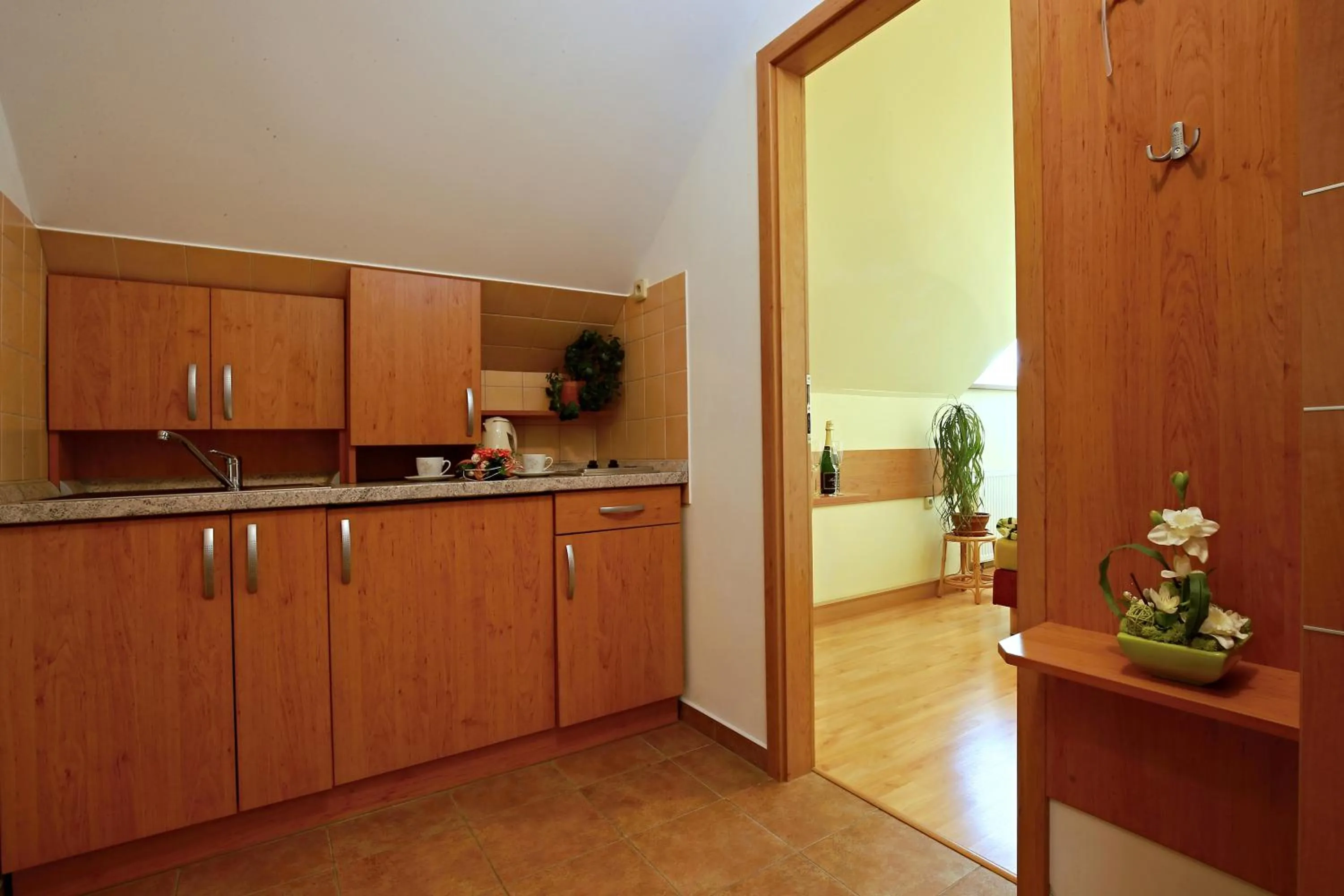 Photo of the whole room in Wellness Penzion Pod Rozhlednou