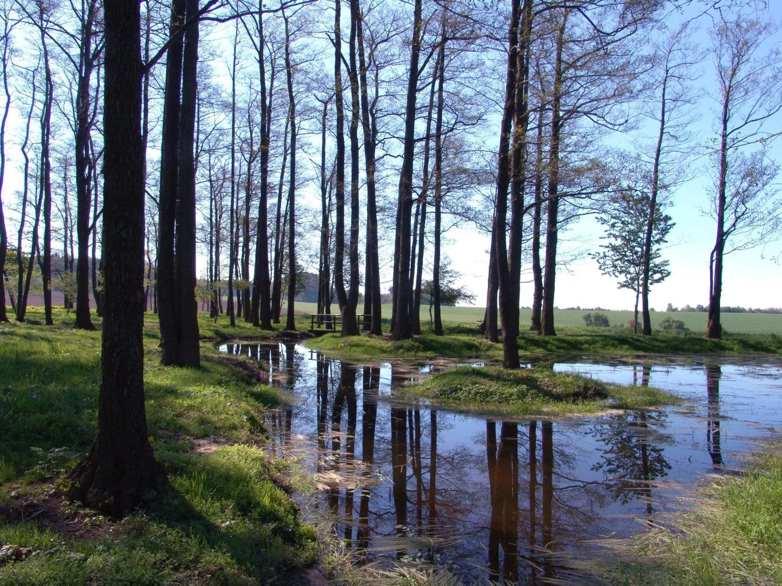 Natural landscape in Wellness Penzion Pod Rozhlednou
