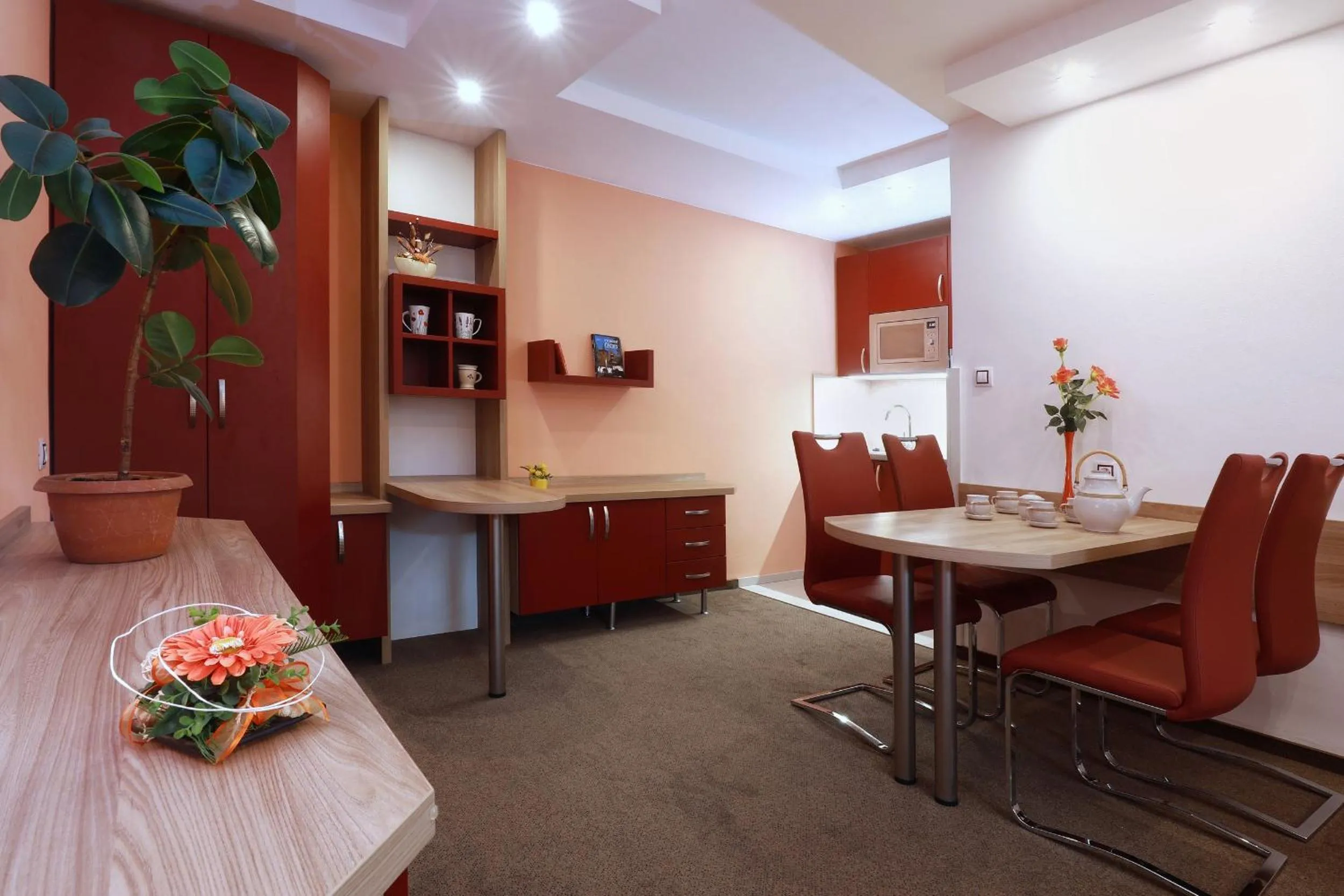Kitchen or kitchenette in Wellness Penzion Pod Rozhlednou