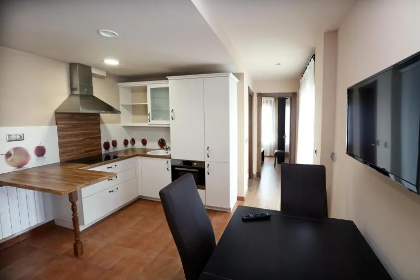 Kitchen or kitchenette in Apartamentos Villa Sofía