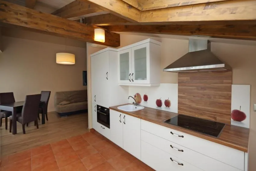 Kitchen or kitchenette in Apartamentos Villa Sofía