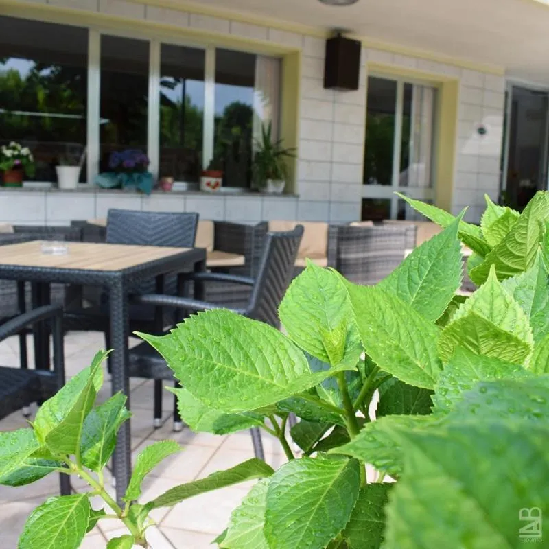 Patio in Hotel Gattuccio