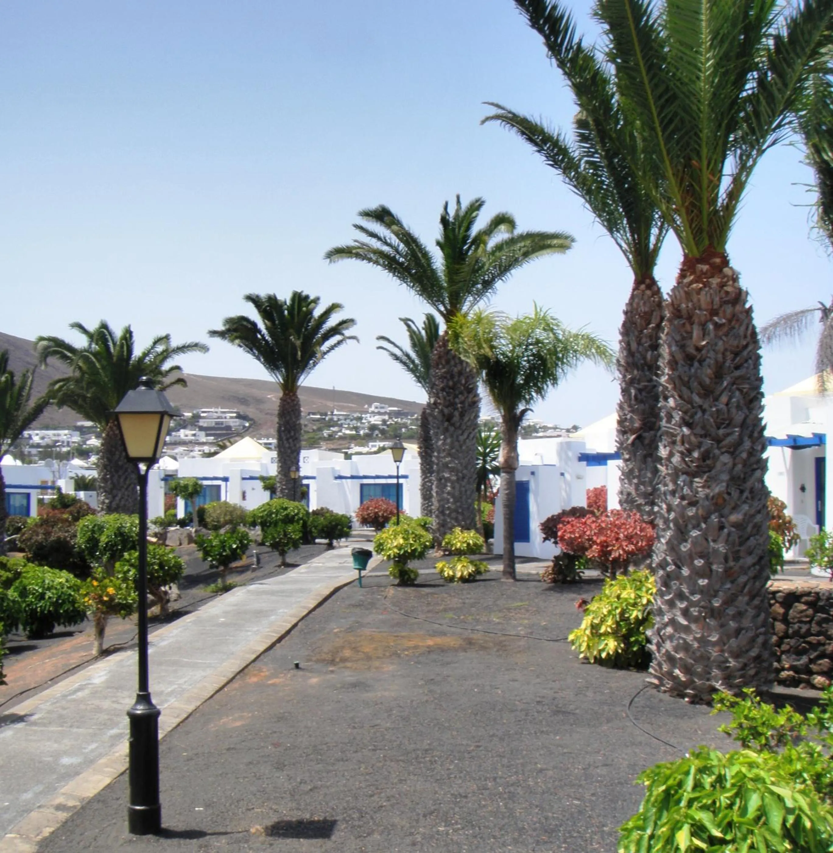 Off site in Sandos Atlantic Gardens