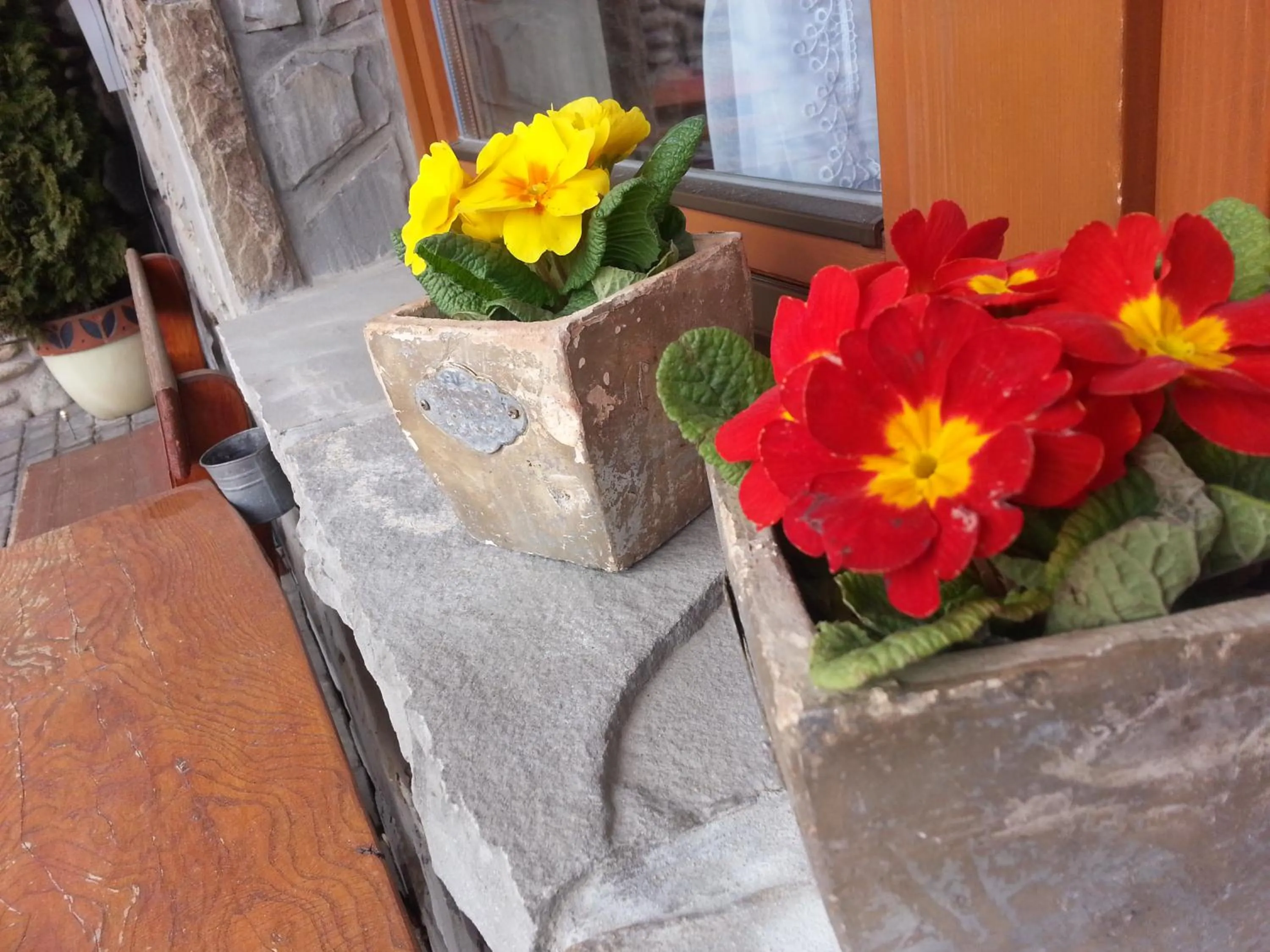 Garden in U Hani w pobliżu Gorący Potok i Termy