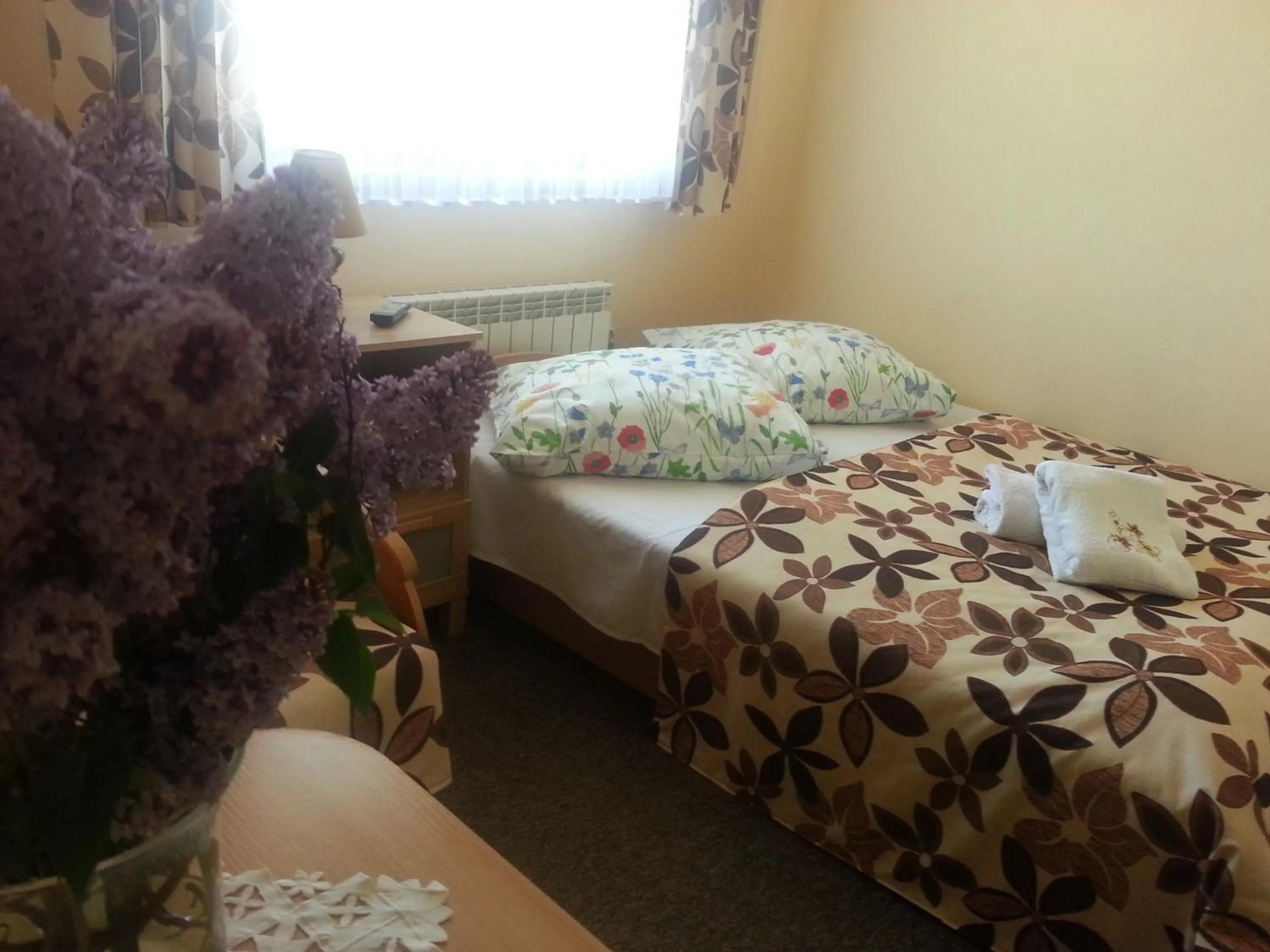 Photo of the whole room, Bed in U Hani w pobliżu Gorący Potok i Termy