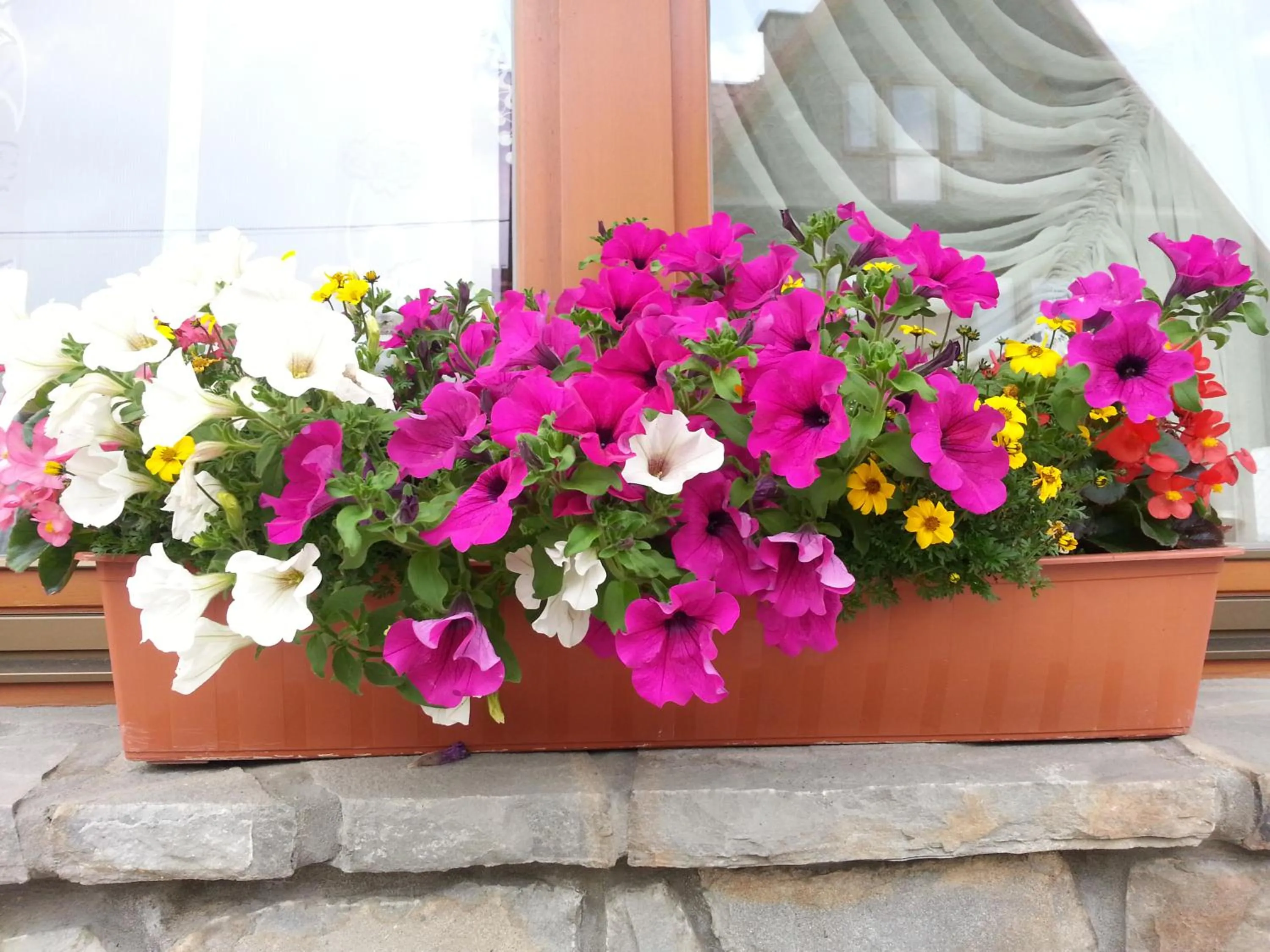 Garden in U Hani w pobliżu Gorący Potok i Termy