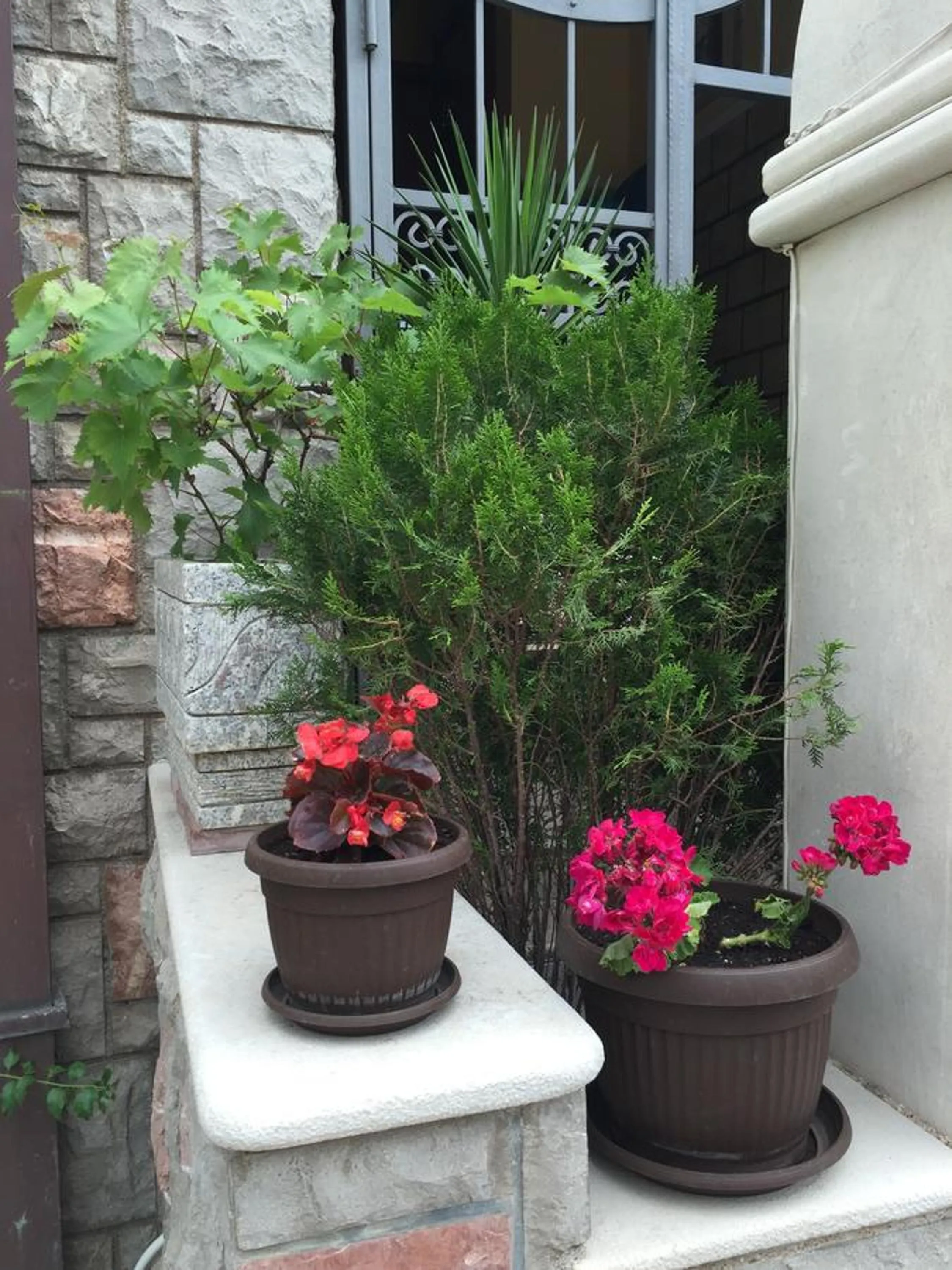 Property building in Villa Edelweiss