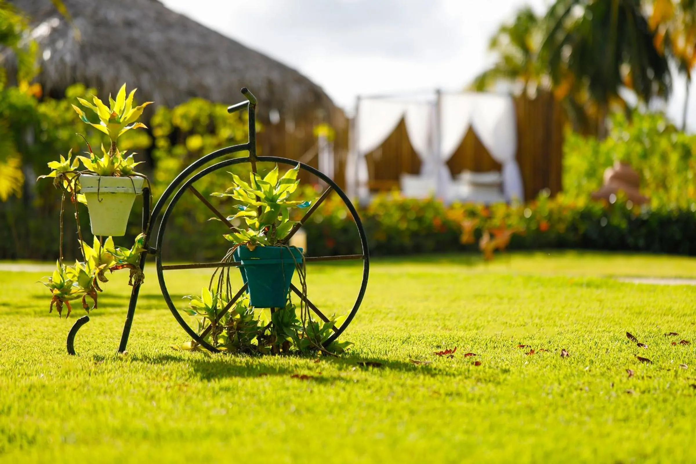 Garden in Pousada Samba Pa Ti