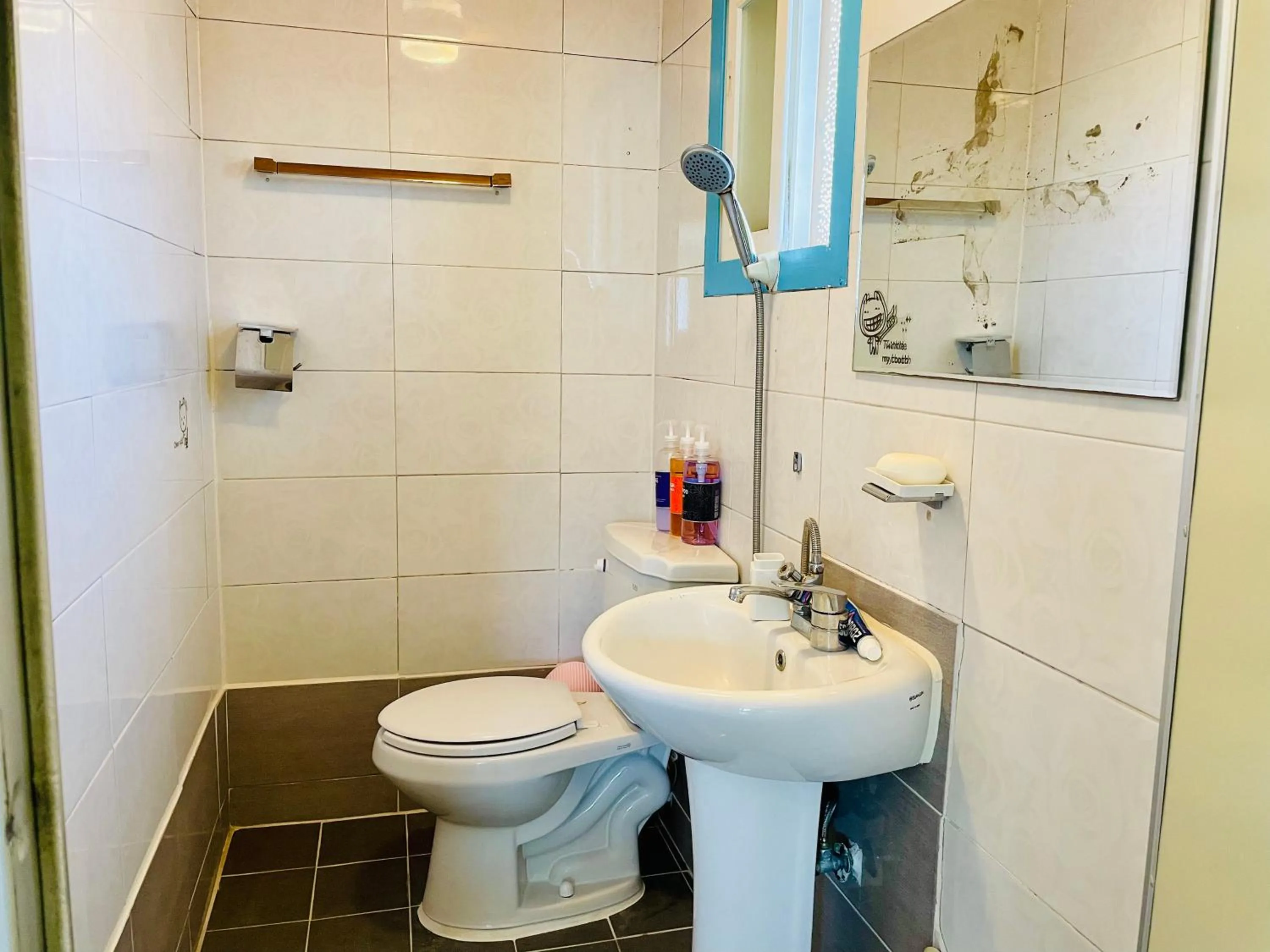 Toilet in Backpackers In Yeosu