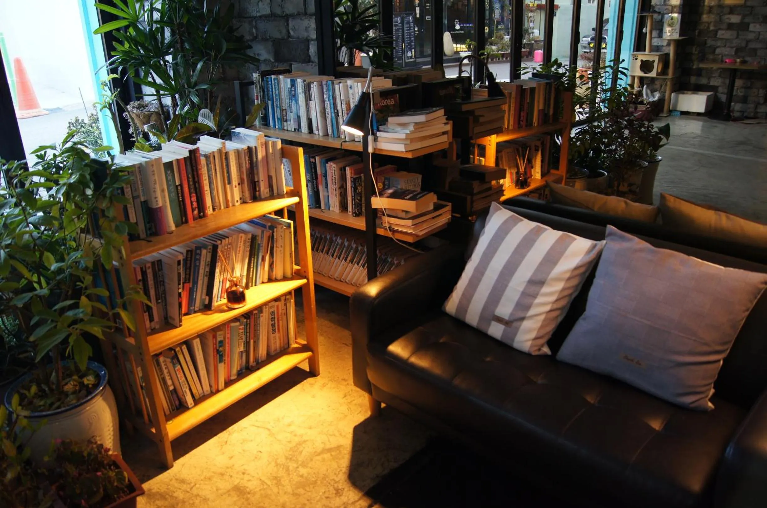 Library in Backpackers In Yeosu