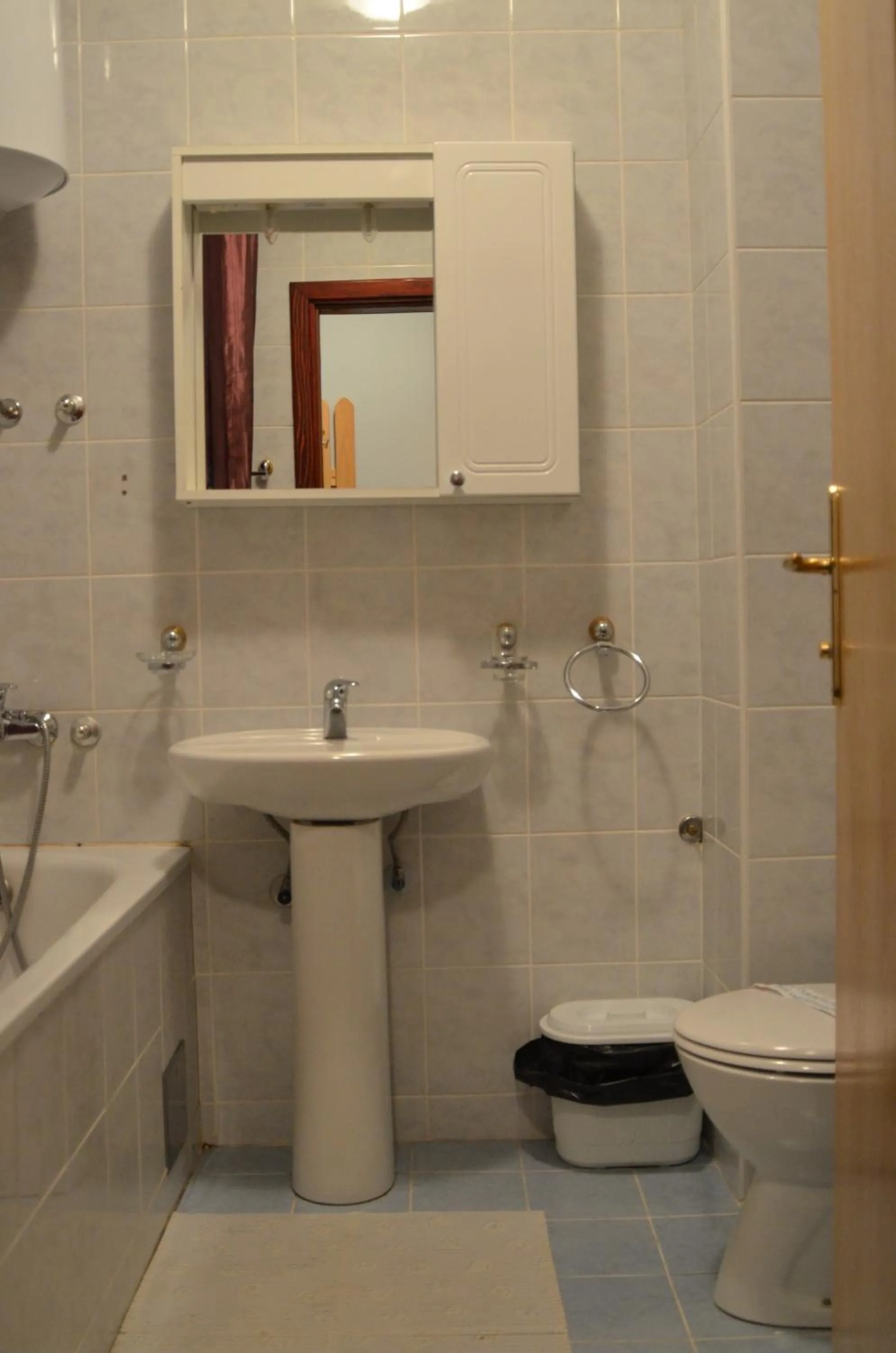 Bathroom in Hotel Dva Javora