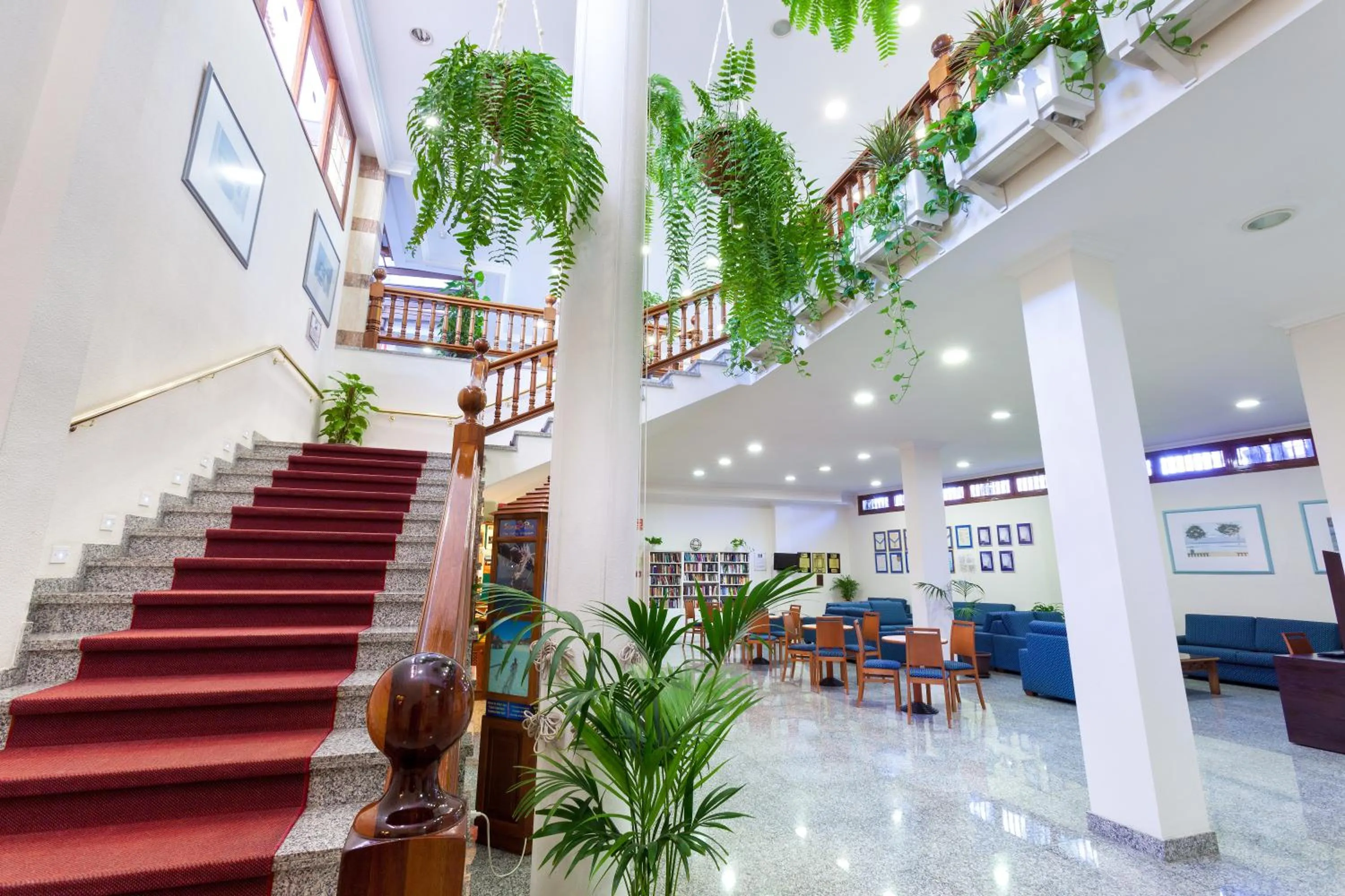 Lounge or bar in Apartamentos Casablanca