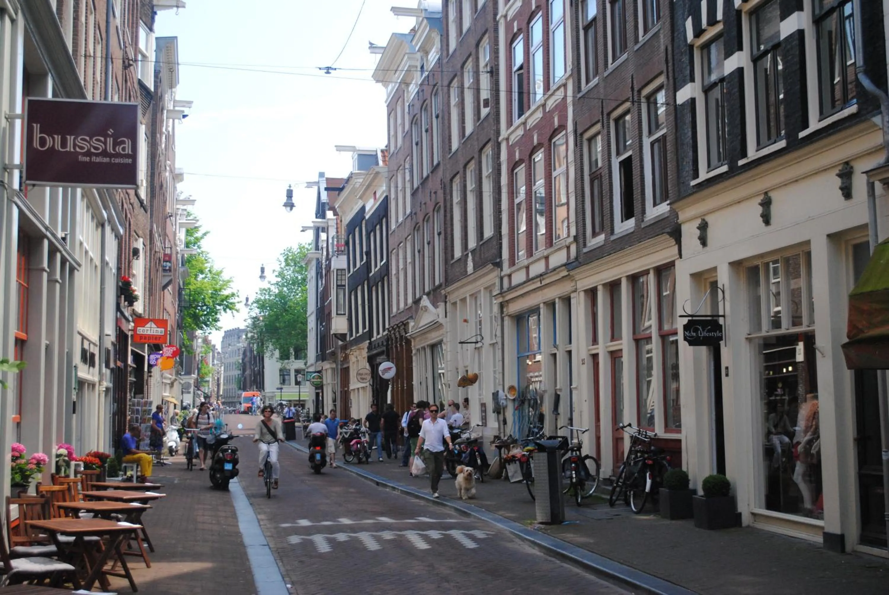 Shopping Area in Bed of Roses