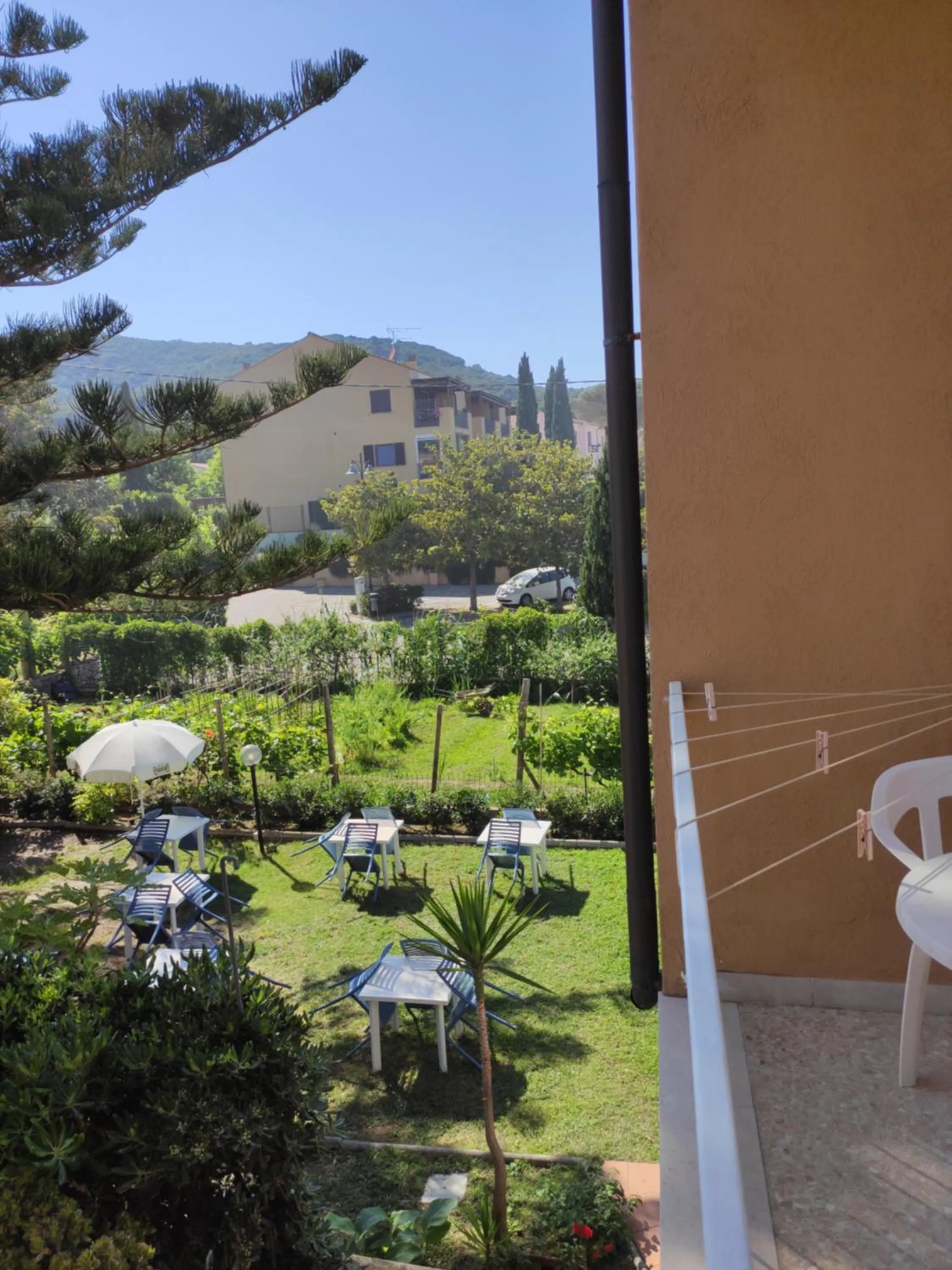 Garden view in Hotel Imperia