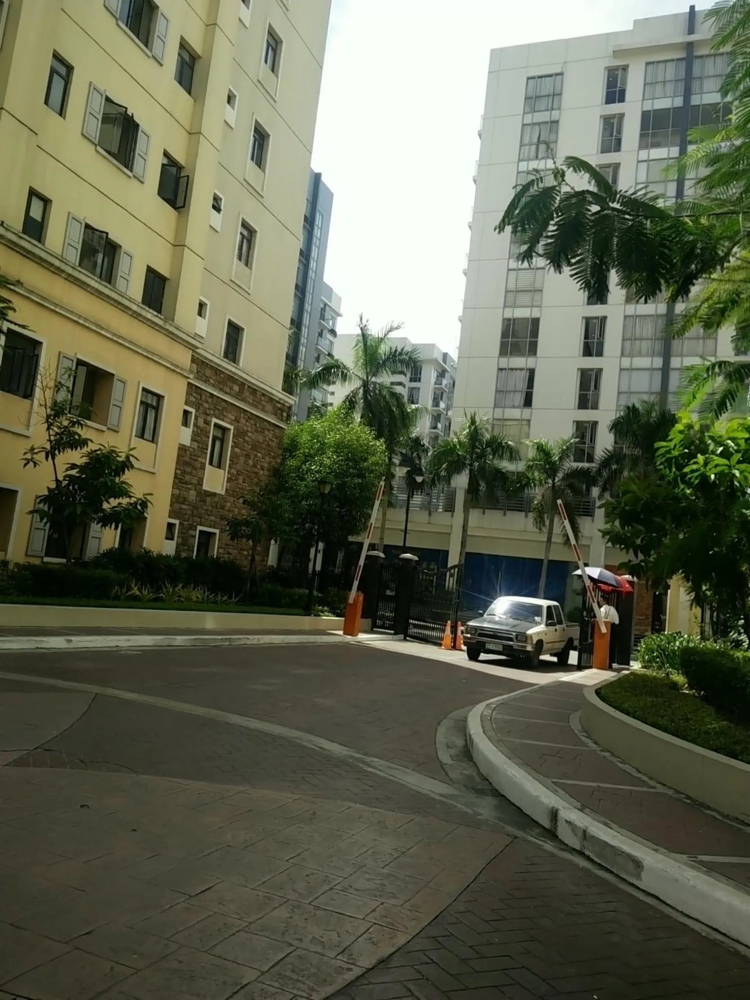 Palm Tree Genlex Condo